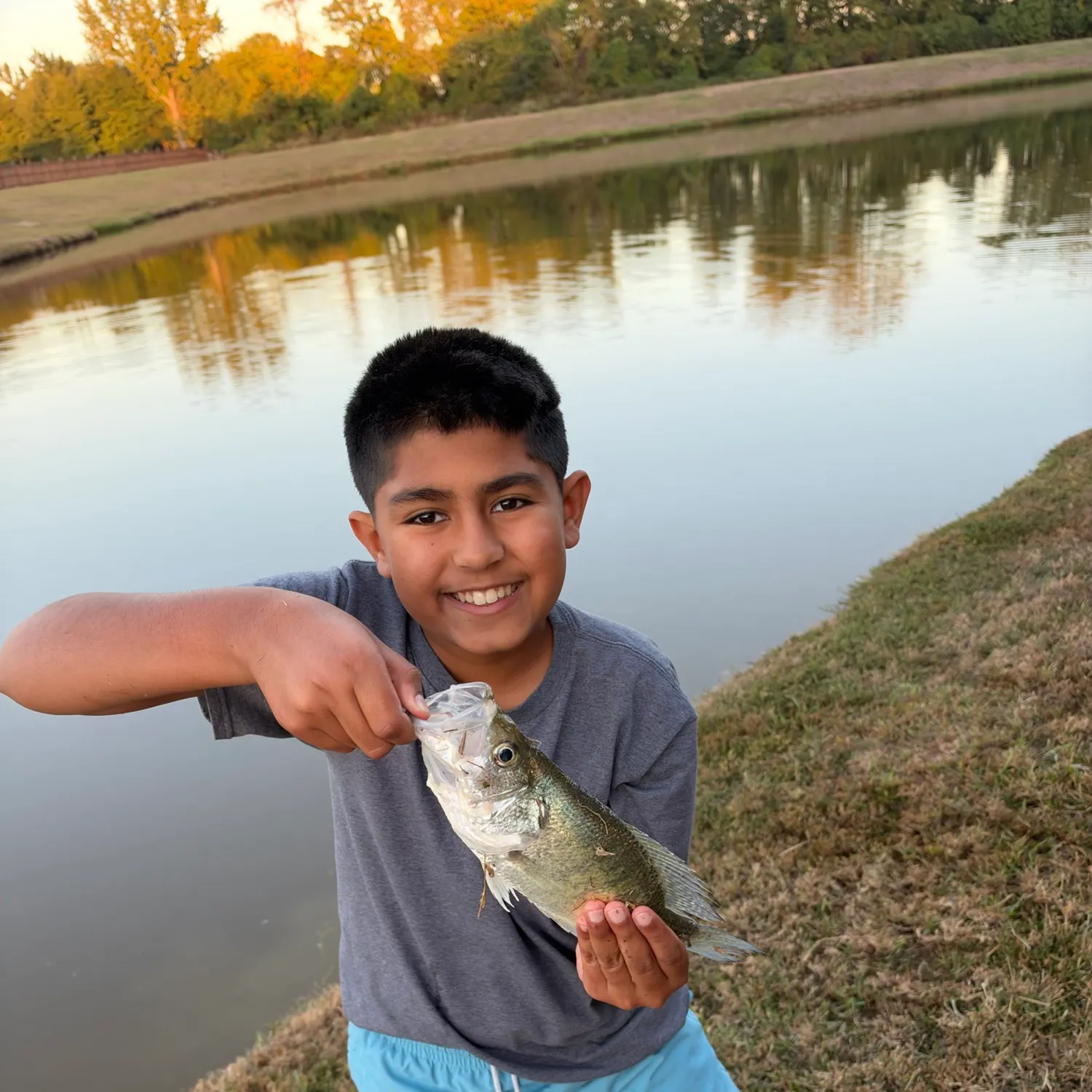 White crappie caught on Fishbrain