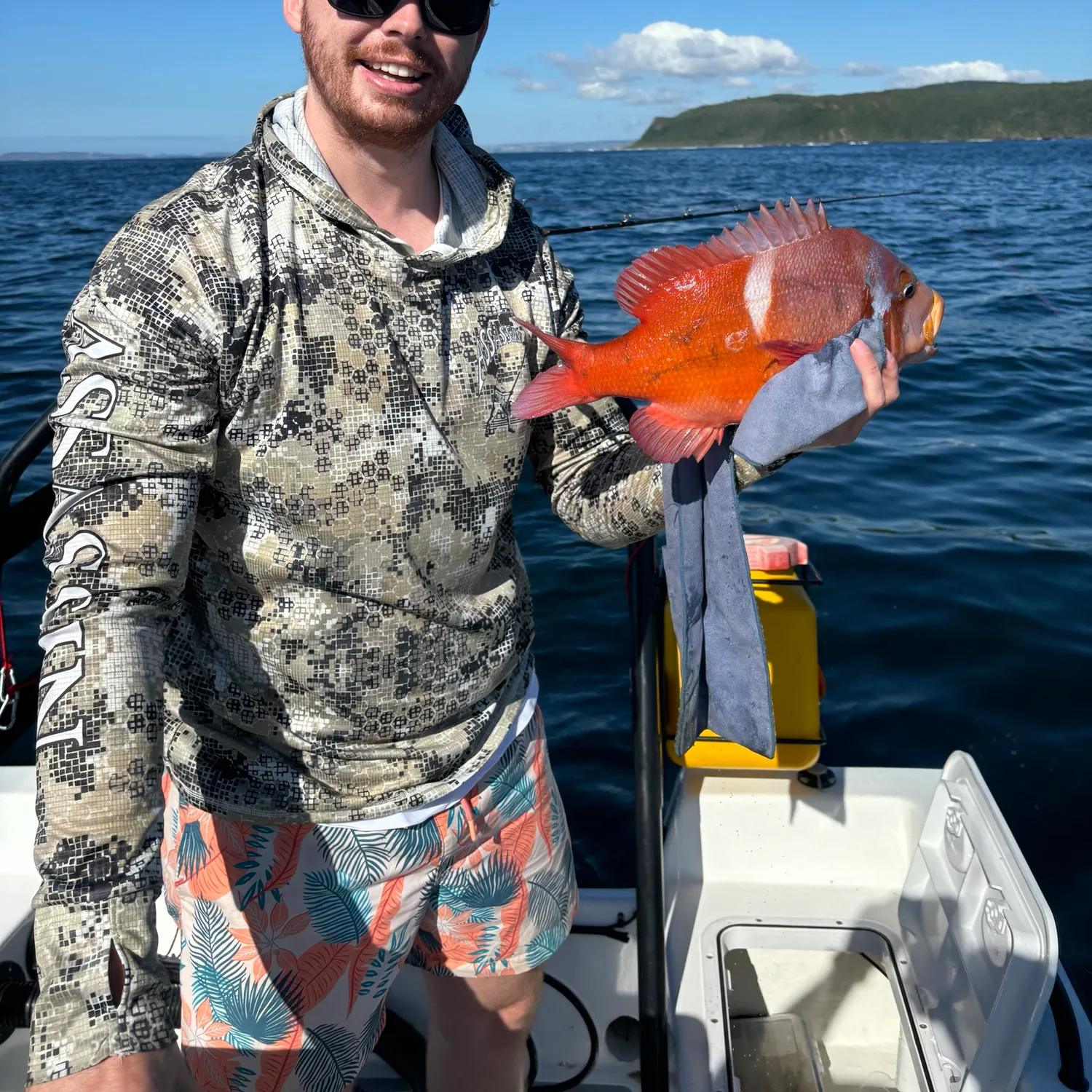 The most recent Roman seabream catches on Fishbrain