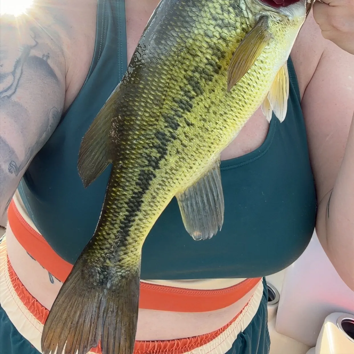Largemouth bass caught on Fishbrain