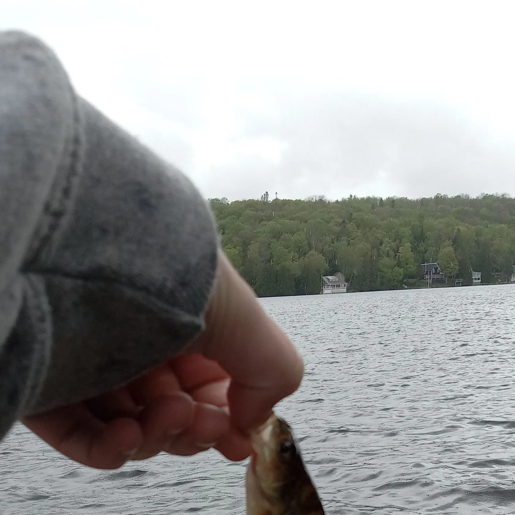 angler catch