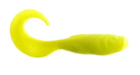 Alive! Swimming Mullet