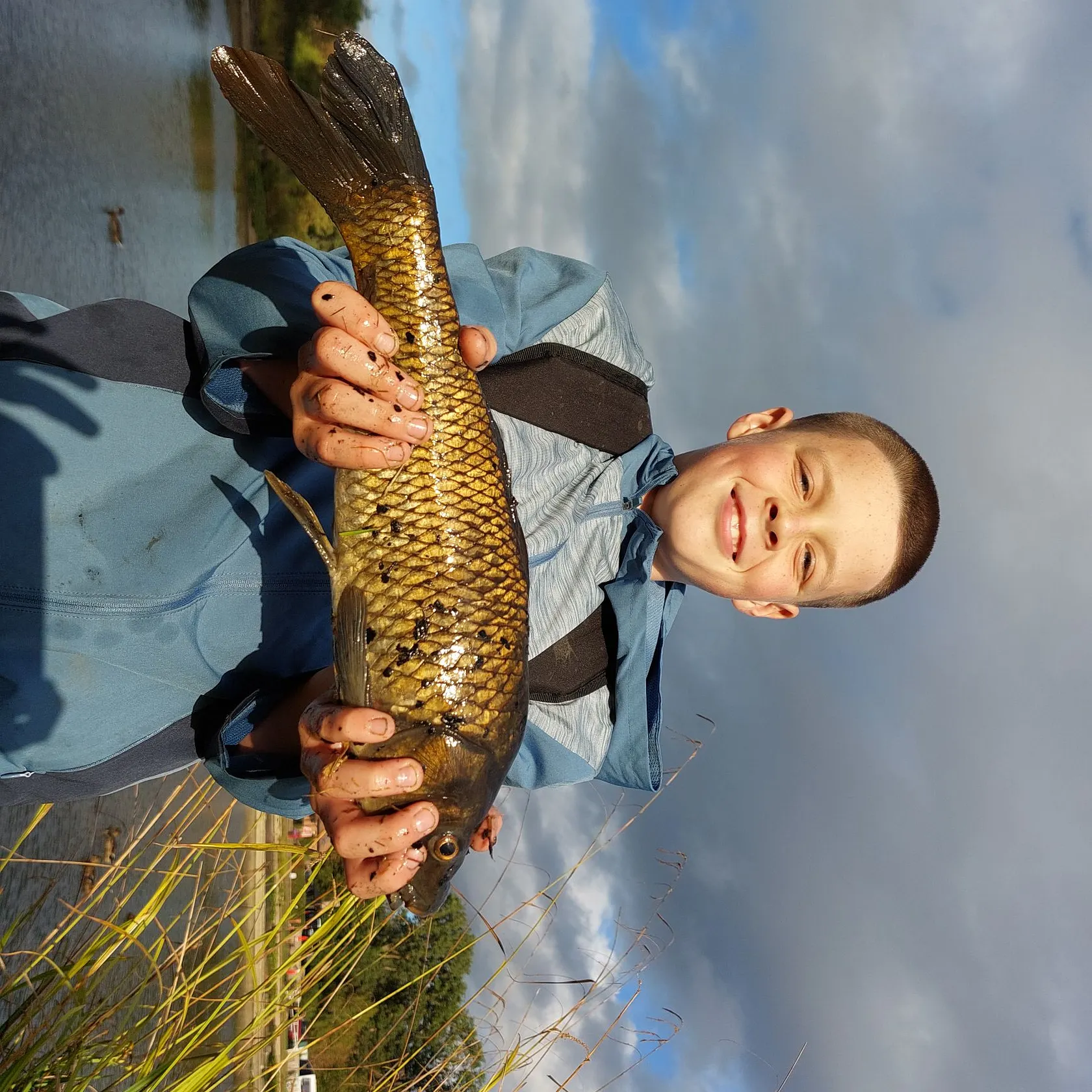 Common carp caught on Fishbrain