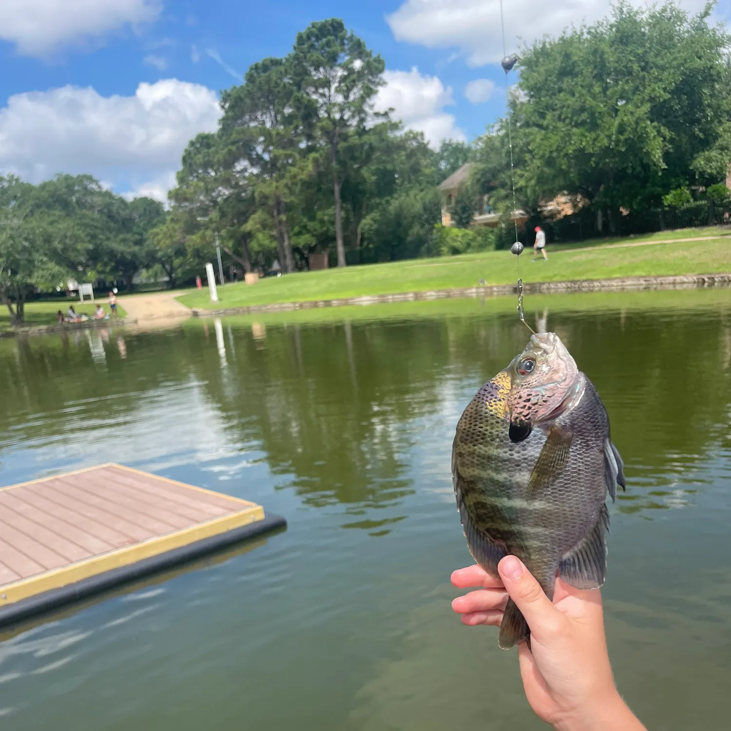 catch