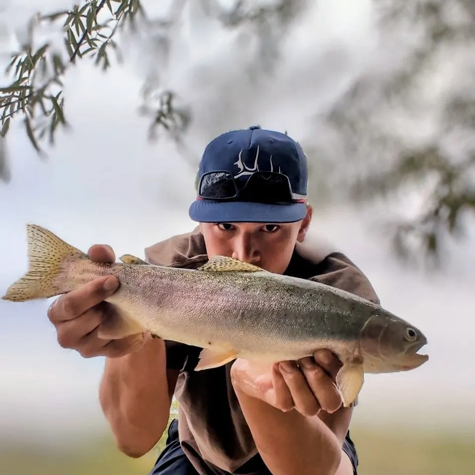 Cutbow caught on Fishbrain