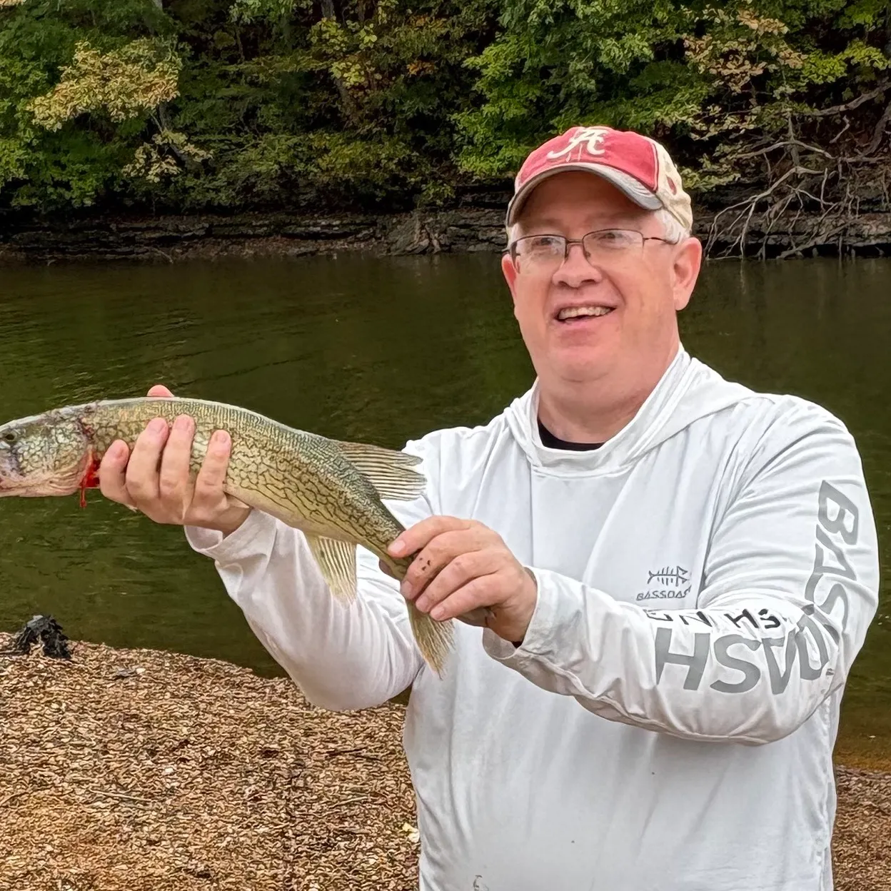 Chain pickerel caught on Fishbrain