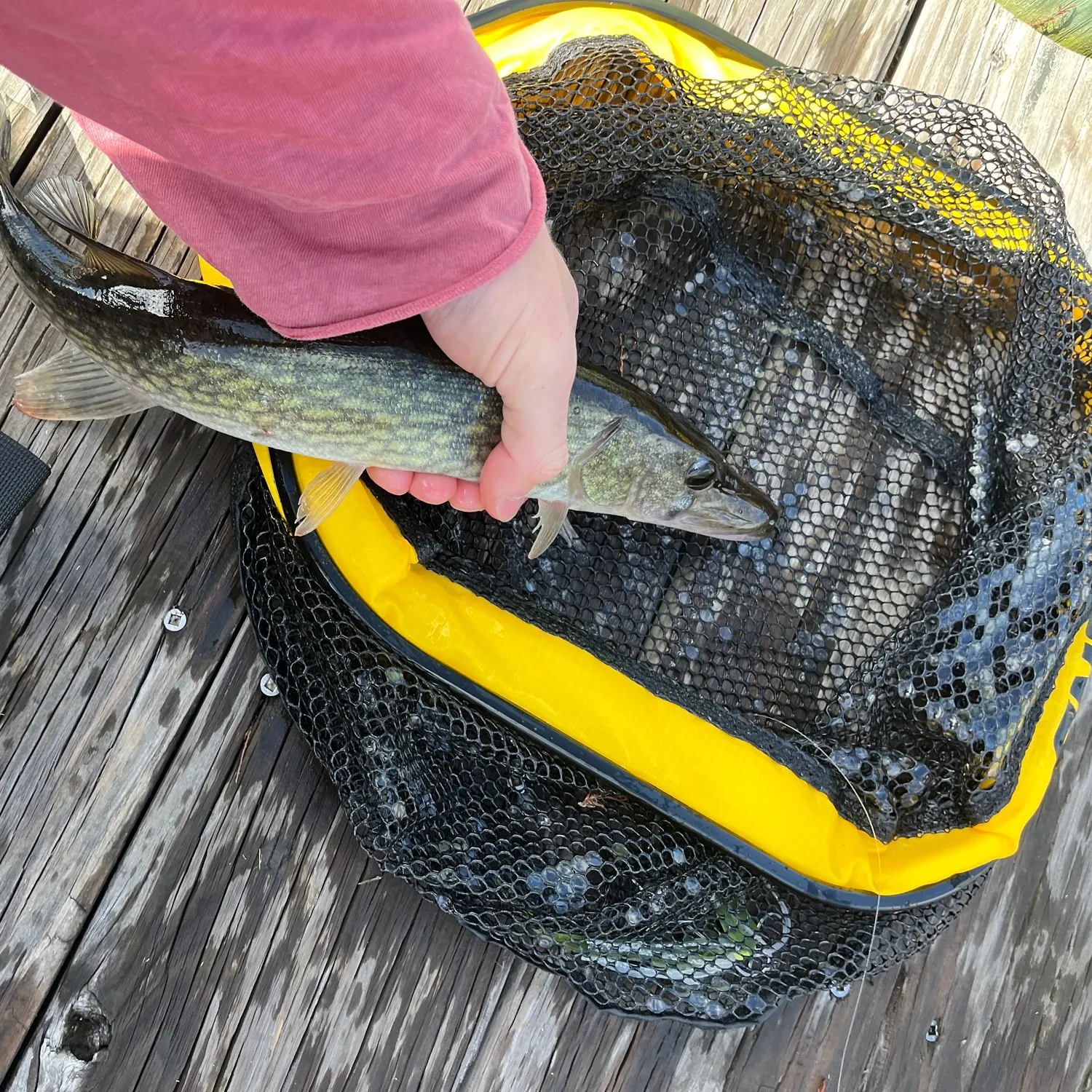 catch
