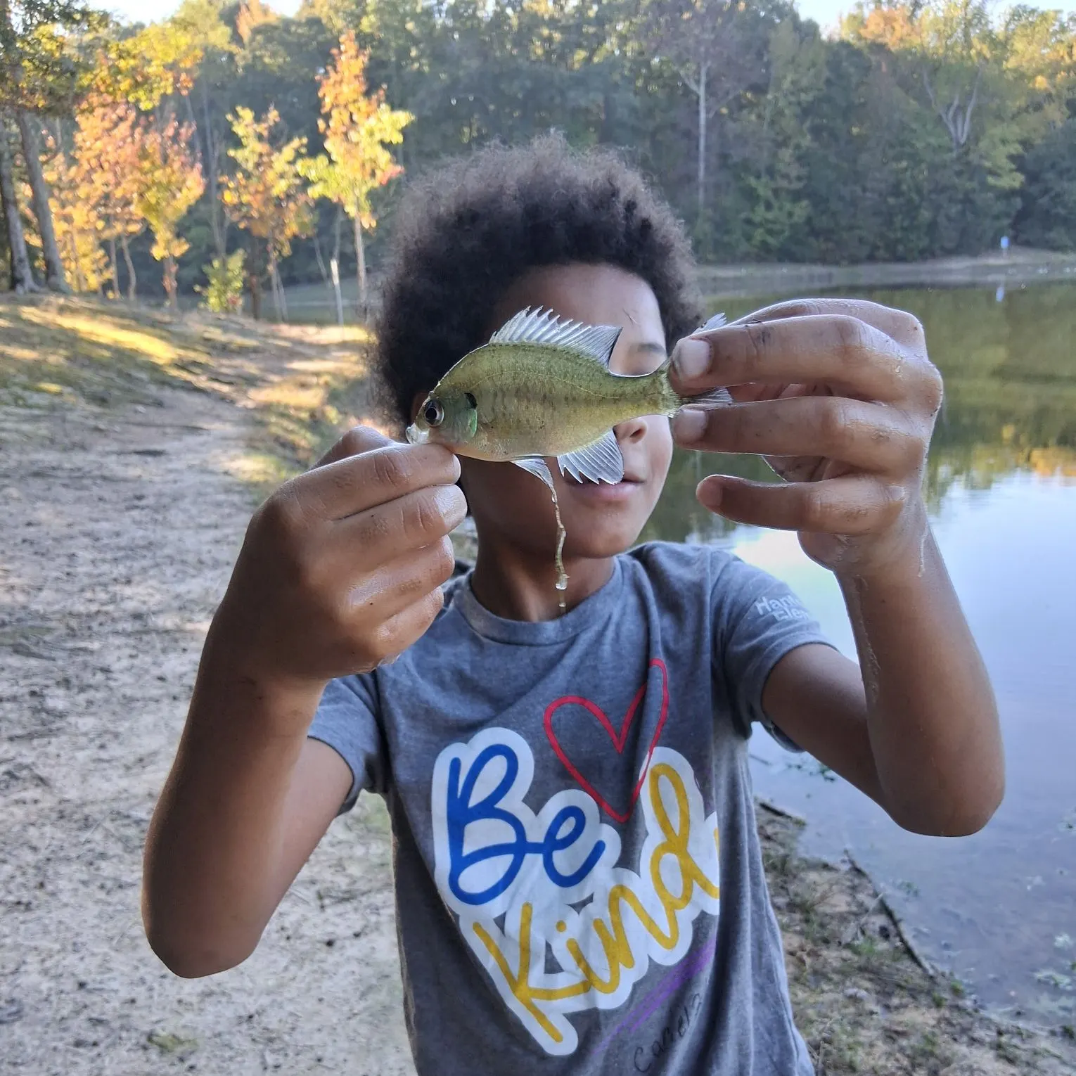 Bluegill caught on Fishbrain
