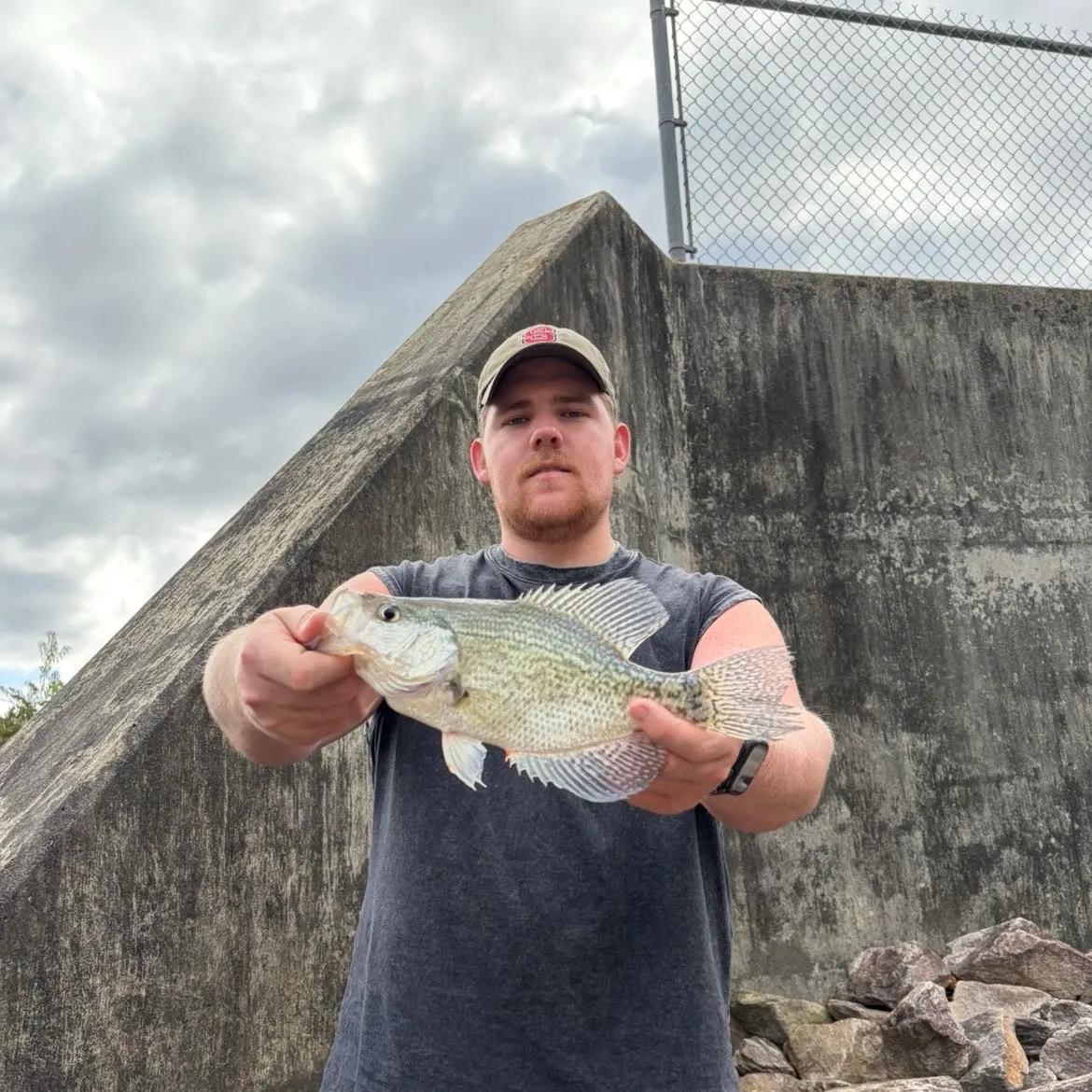 Black crappie caught on Fishbrain