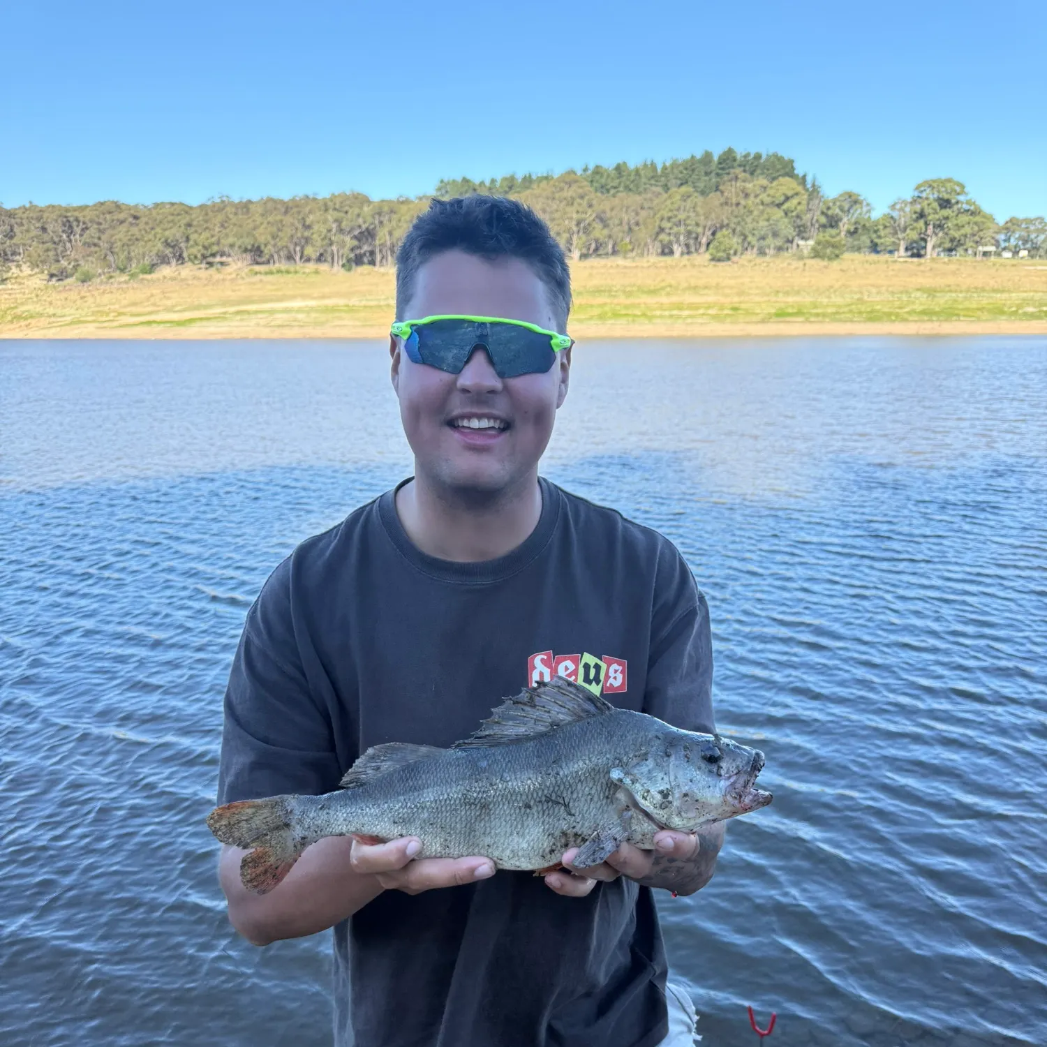 The most recent European perch catches on Fishbrain