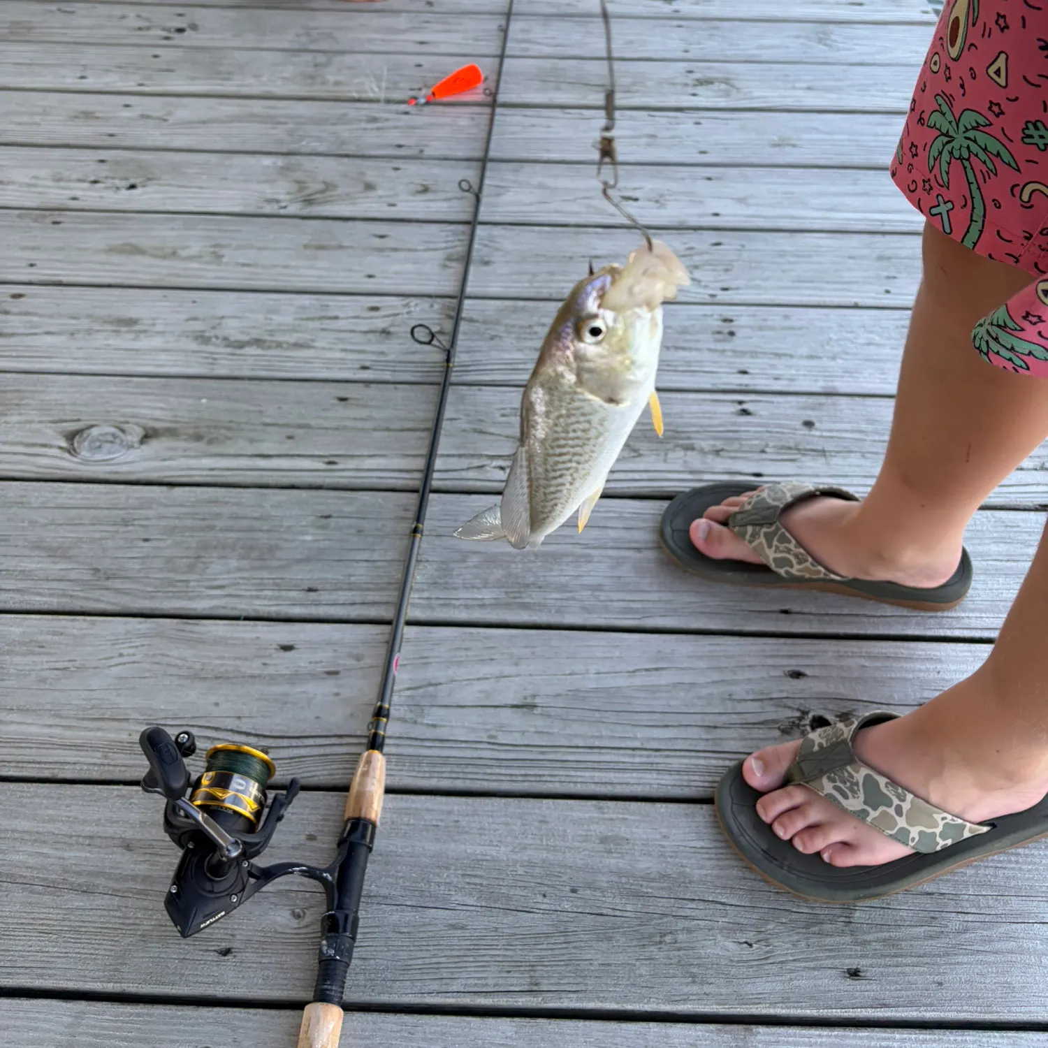 catch