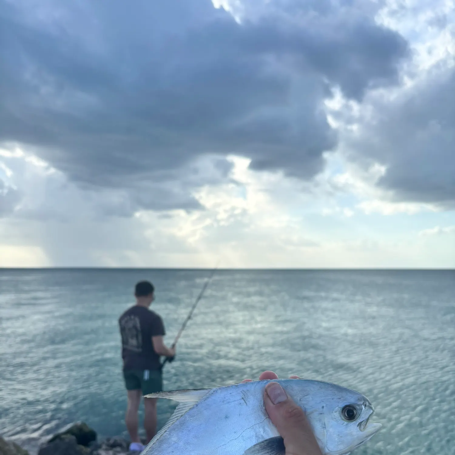 The most recent Palometa catches on Fishbrain