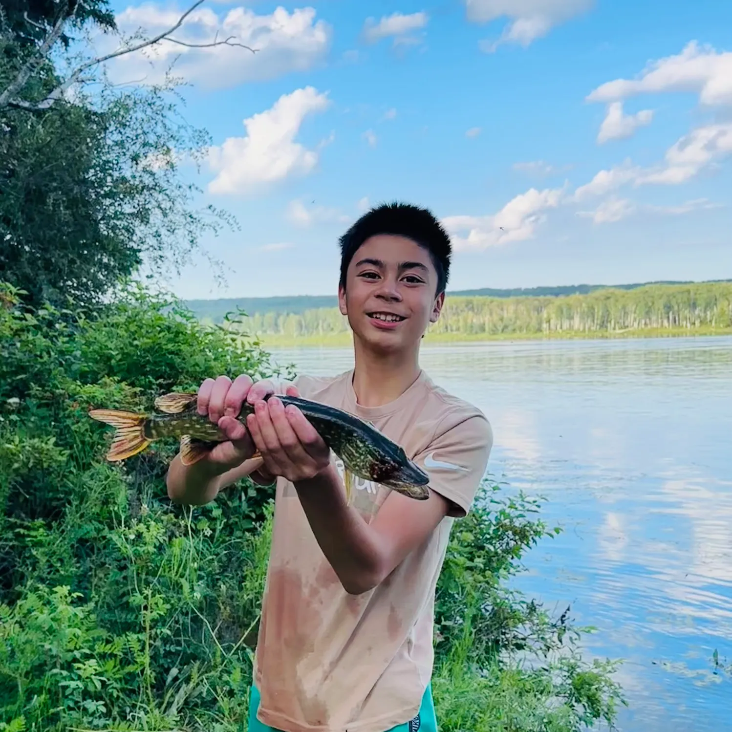 Northern pike caught on Fishbrain
