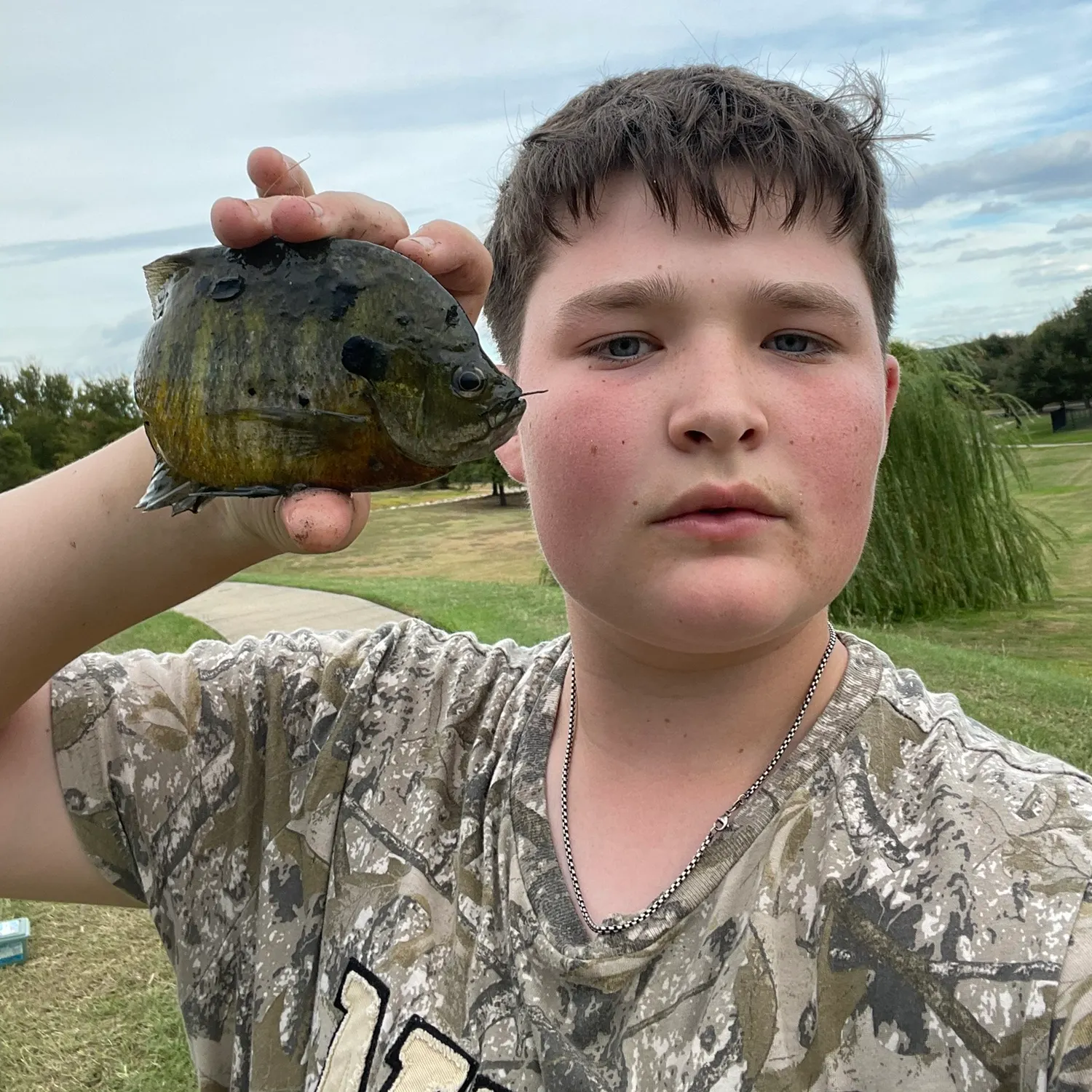 Bluegill caught on Fishbrain