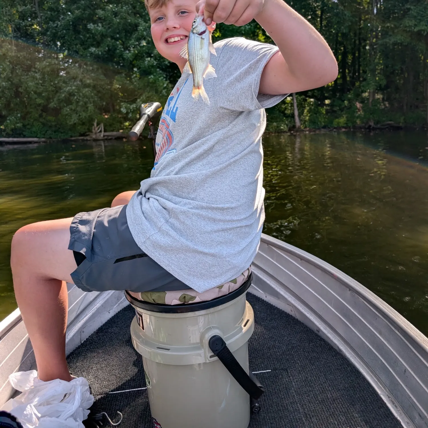 White bass caught on Fishbrain