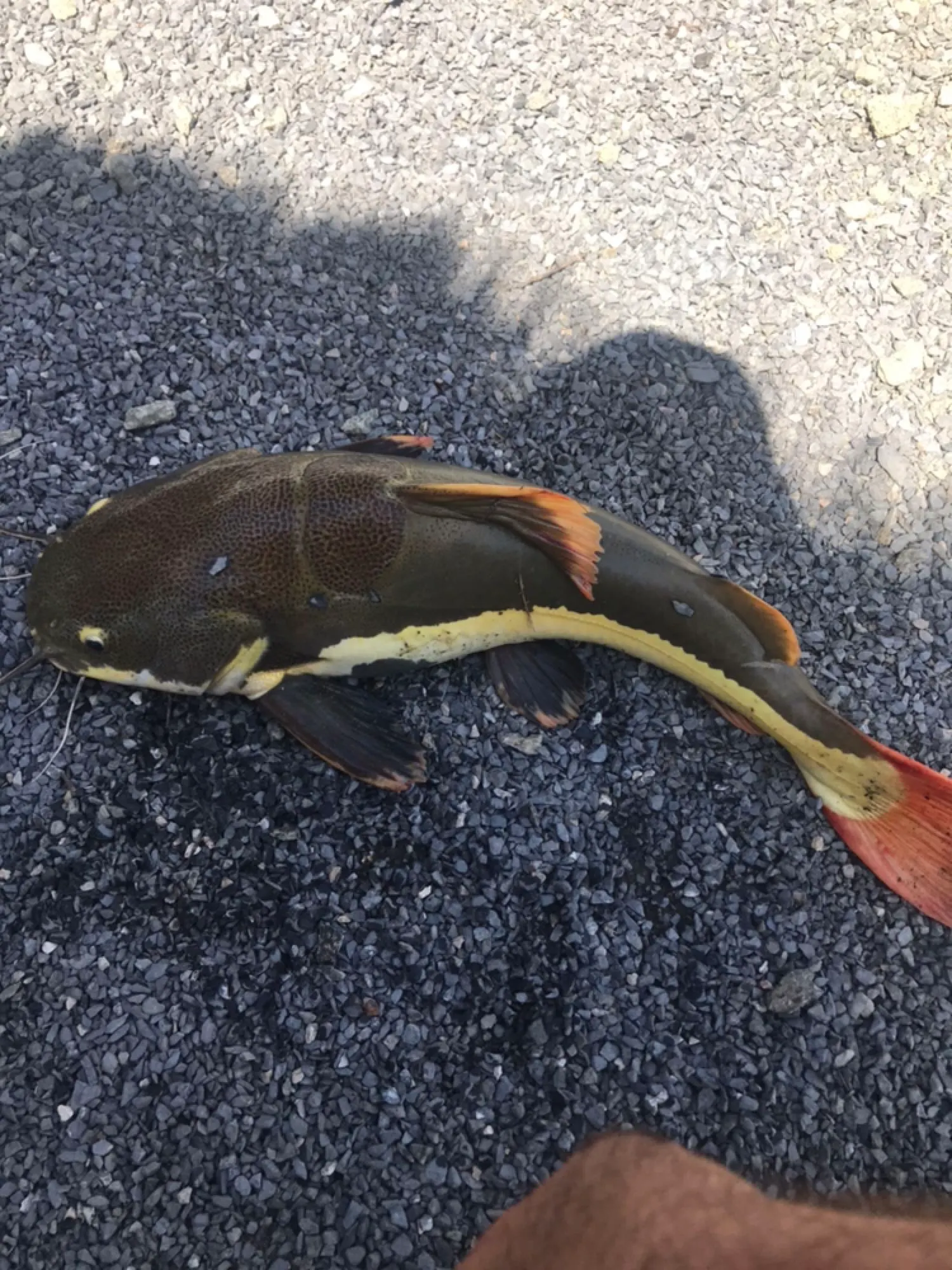 Post image from ayildirim1984