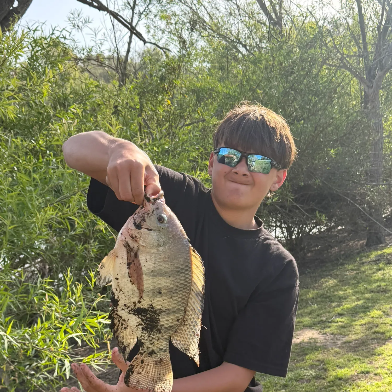 The most recent Nile tilapia catches on Fishbrain