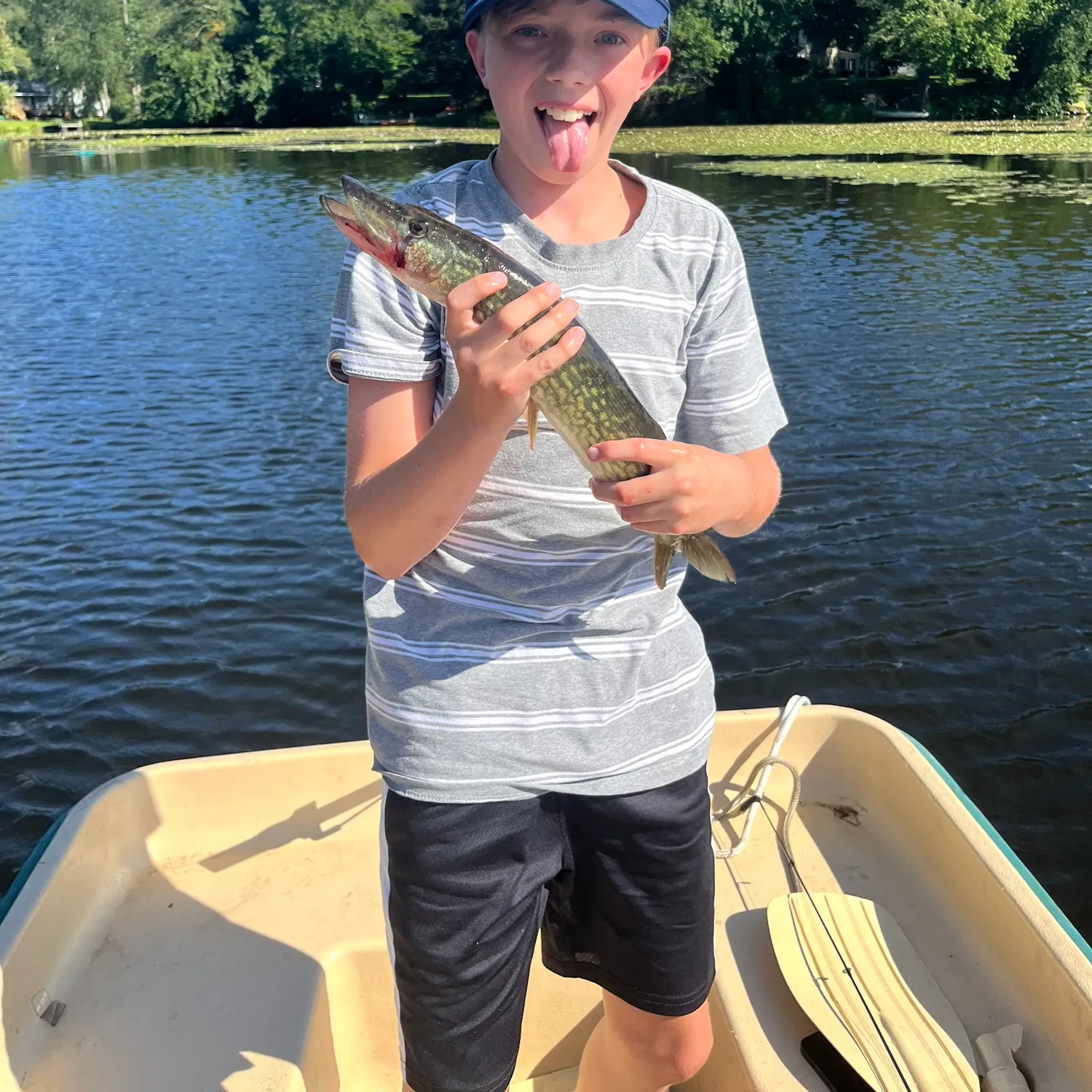Chain pickerel caught on Fishbrain