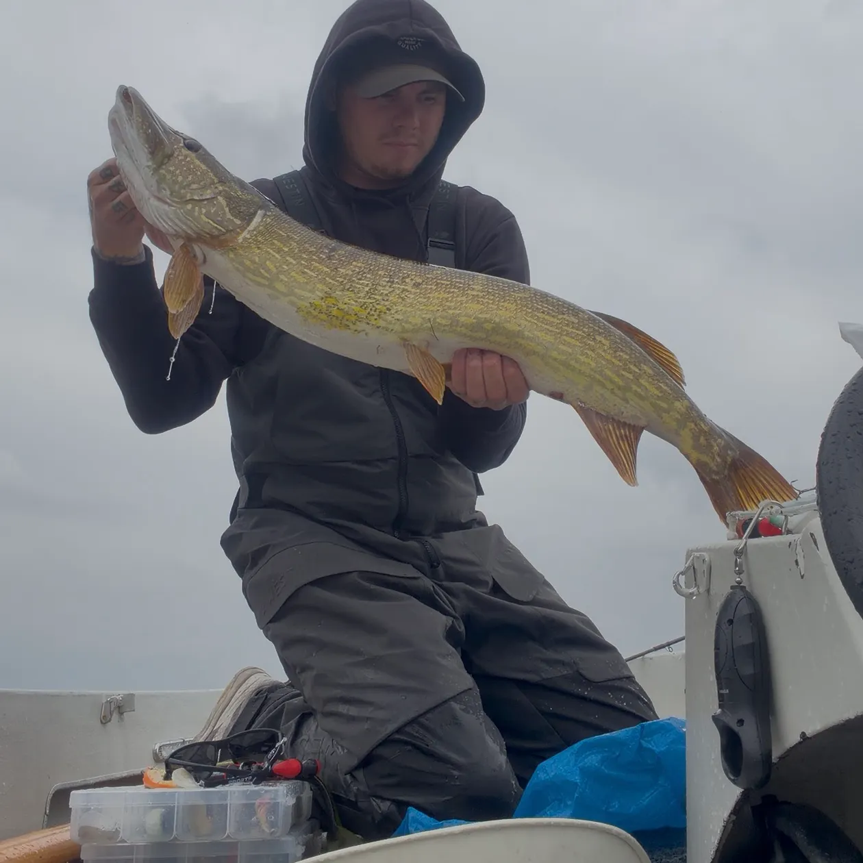 Northern pike caught on Fishbrain