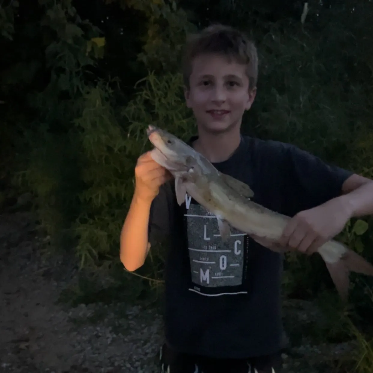 Channel catfish caught on Fishbrain