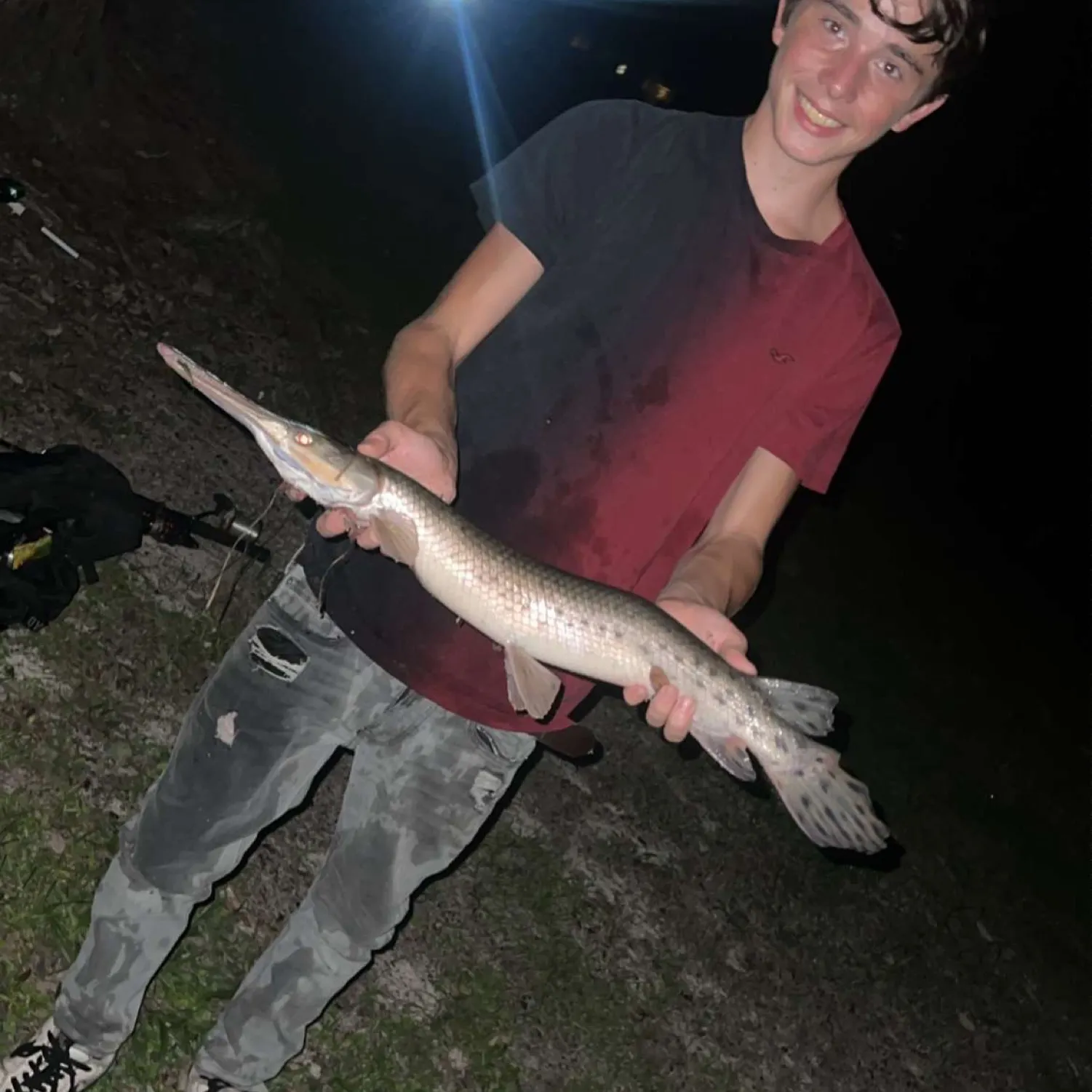 Shortnose gar caught on Fishbrain