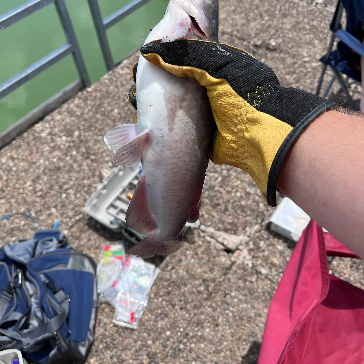catch