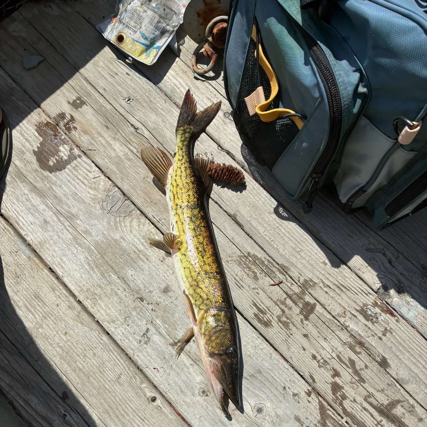 catch