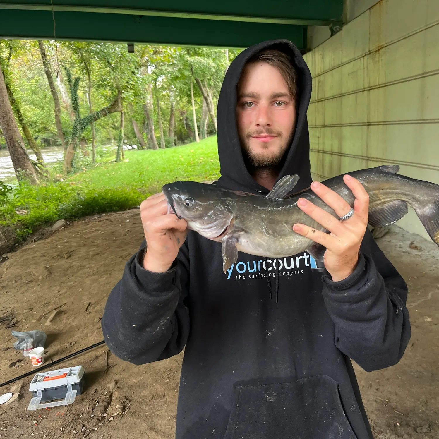 Channel catfish caught on Fishbrain