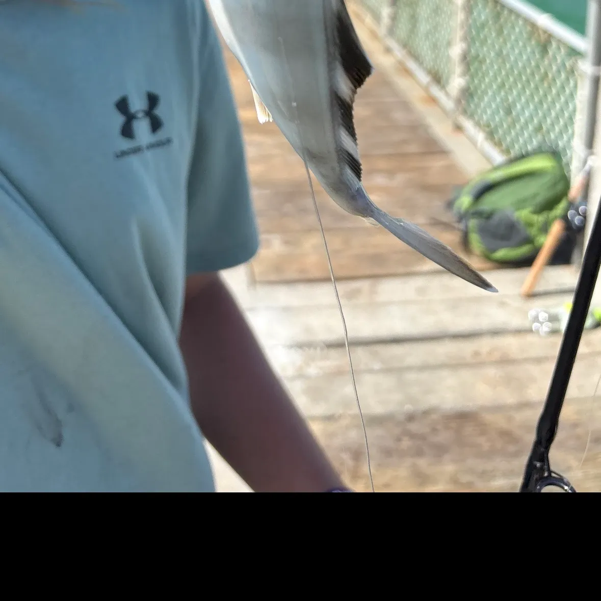 The most recent Lesser amberjack catches on Fishbrain