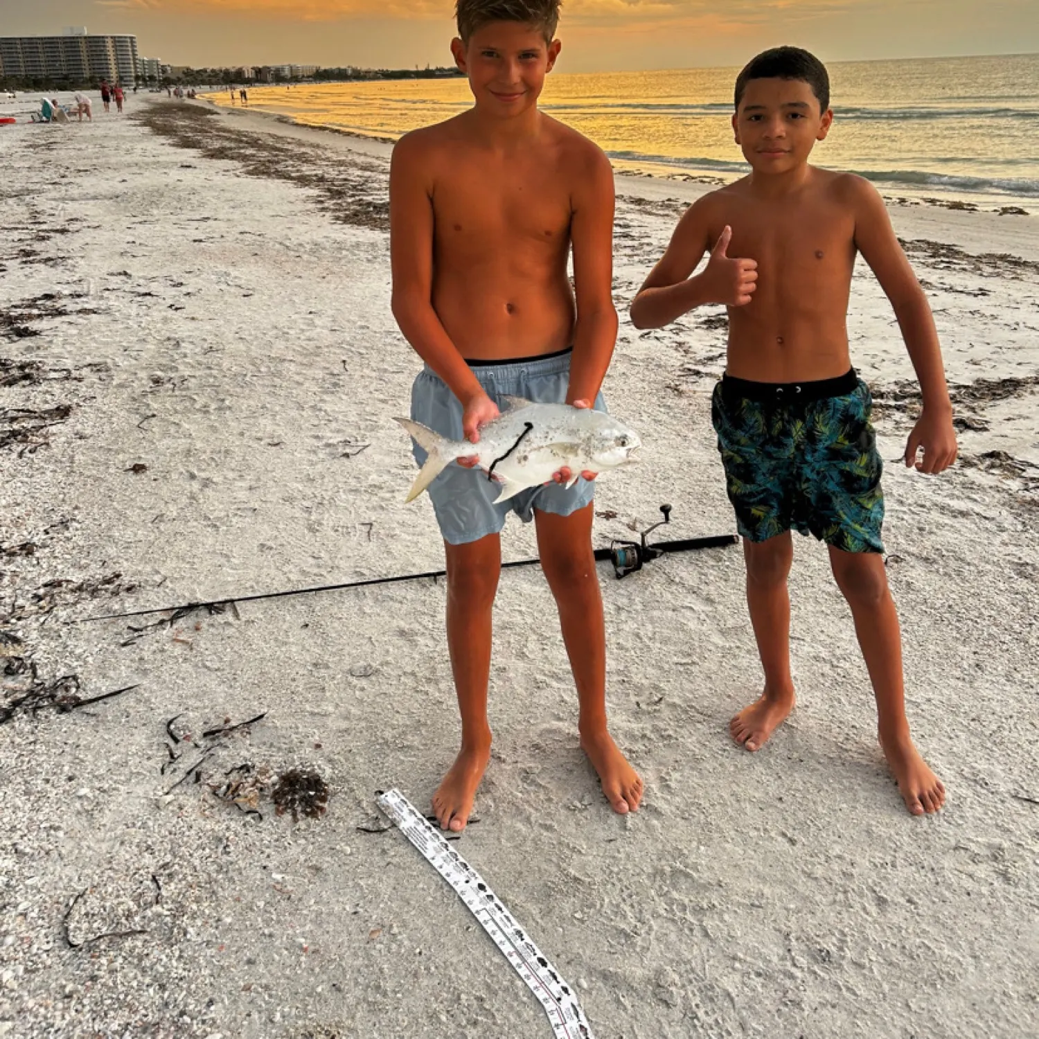 The most recent Shortfin pompano catches on Fishbrain