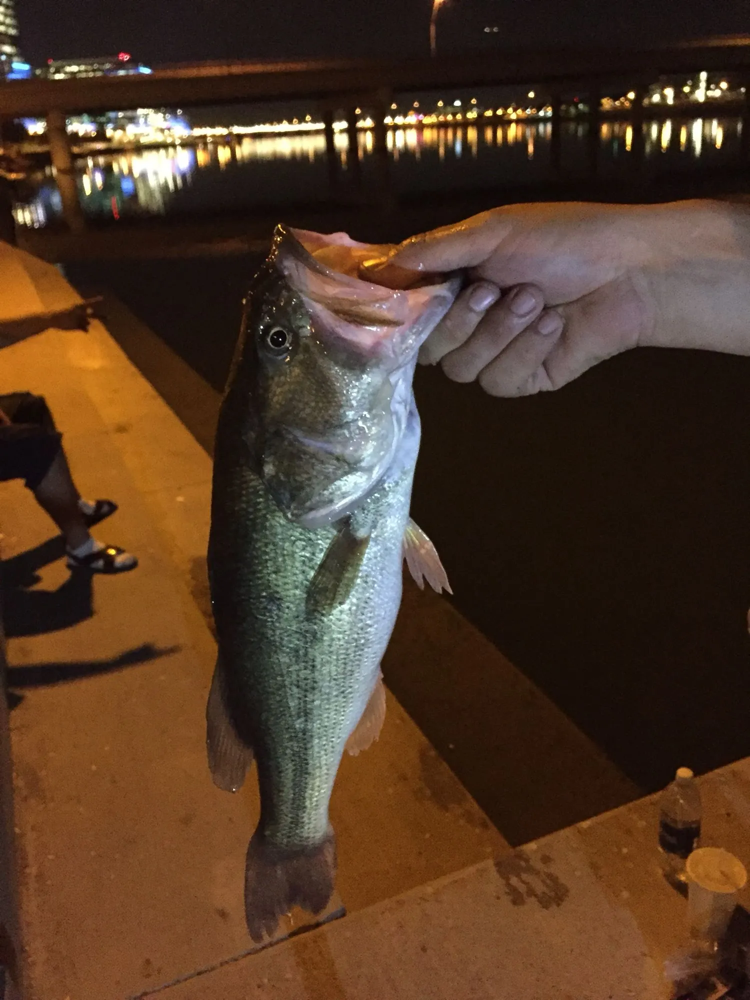 Post image from agomez4975