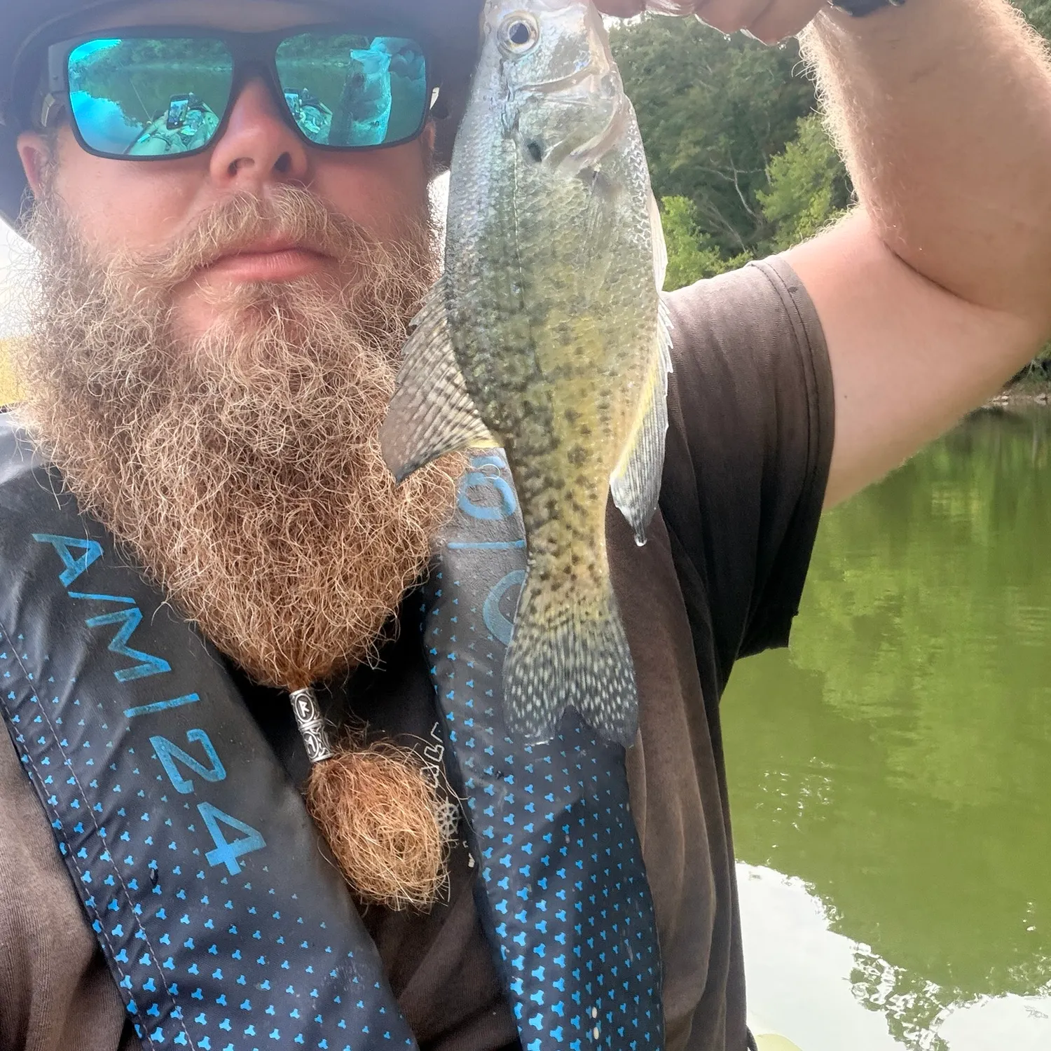 White crappie caught on Fishbrain