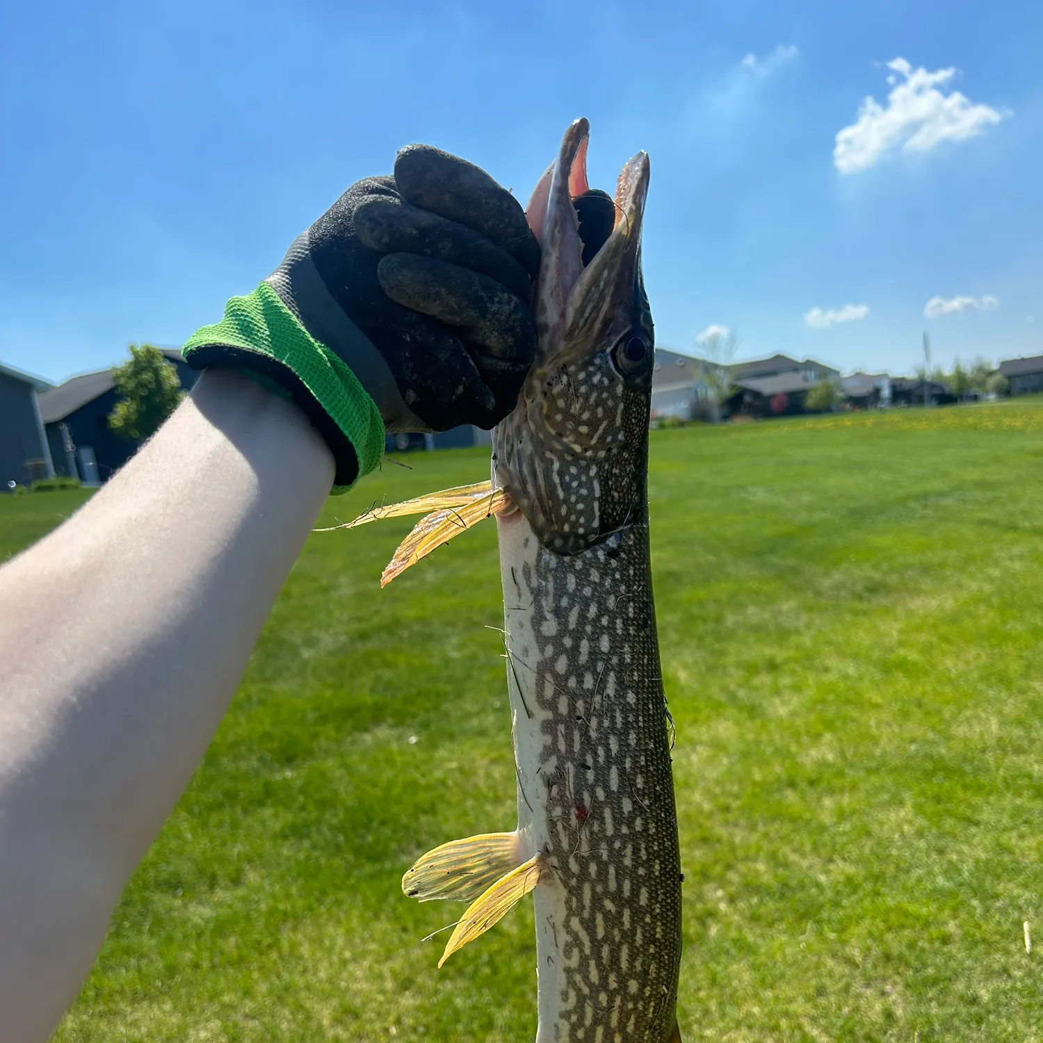catch