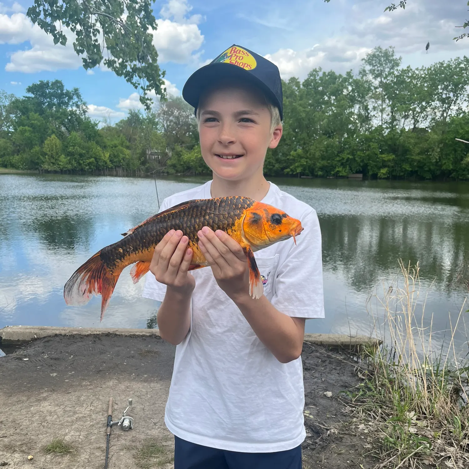 The most recent Koi carp catches on Fishbrain