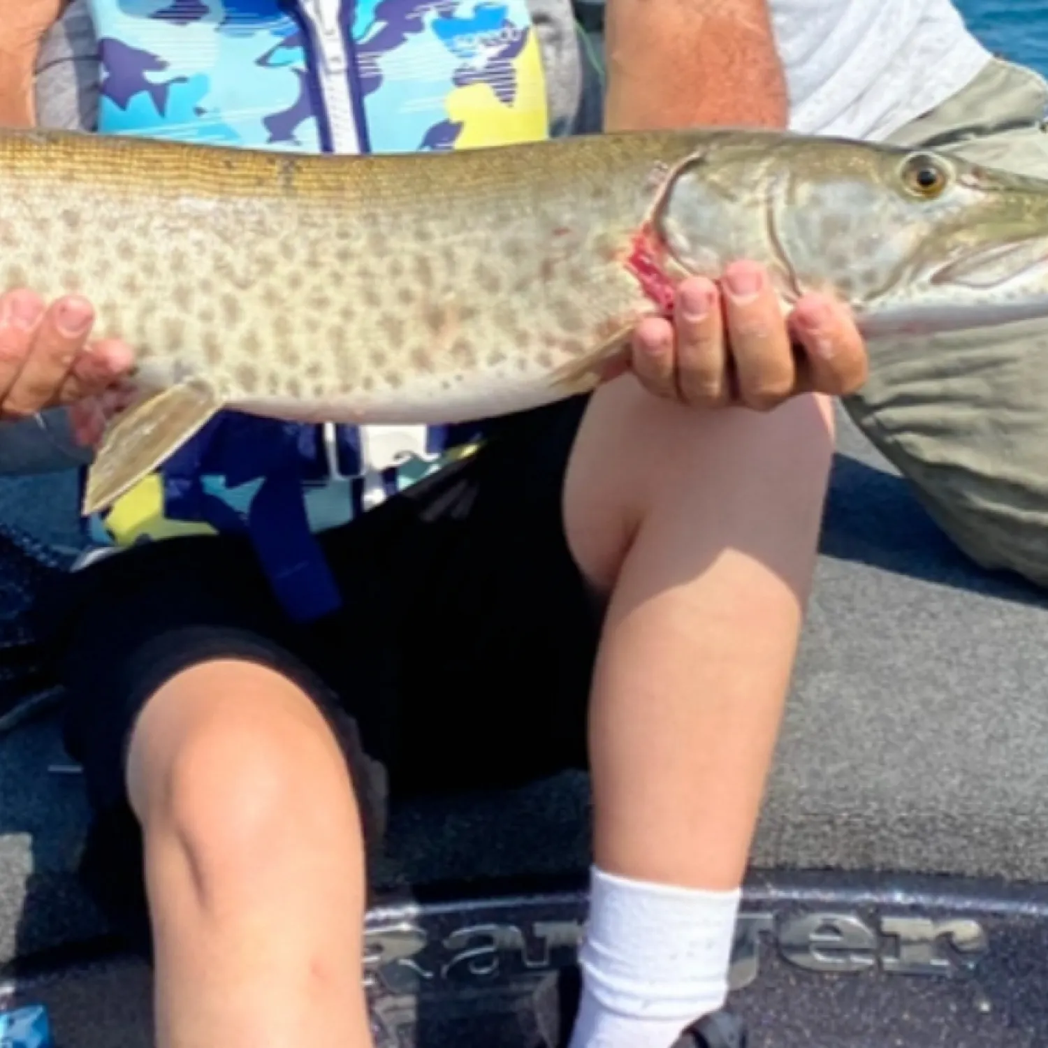 The most recent Muskellunge catches on Fishbrain