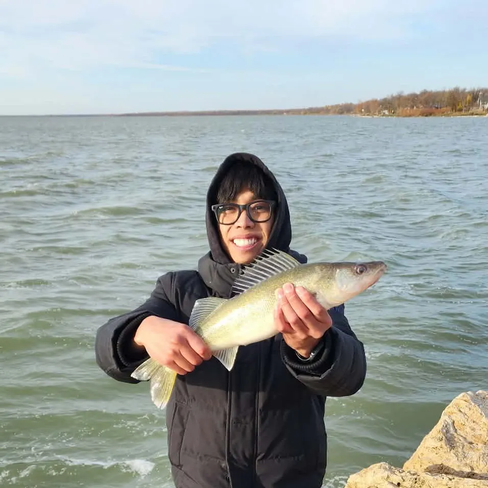 Walleye caught on Fishbrain