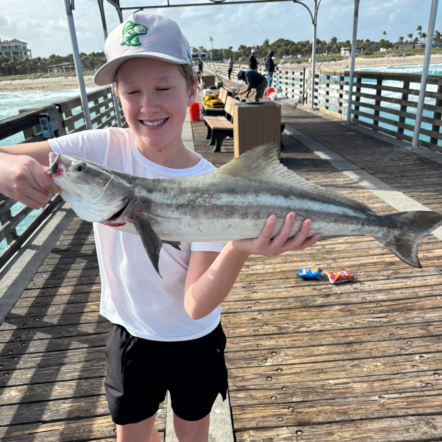 The most recent Cobia catches on Fishbrain