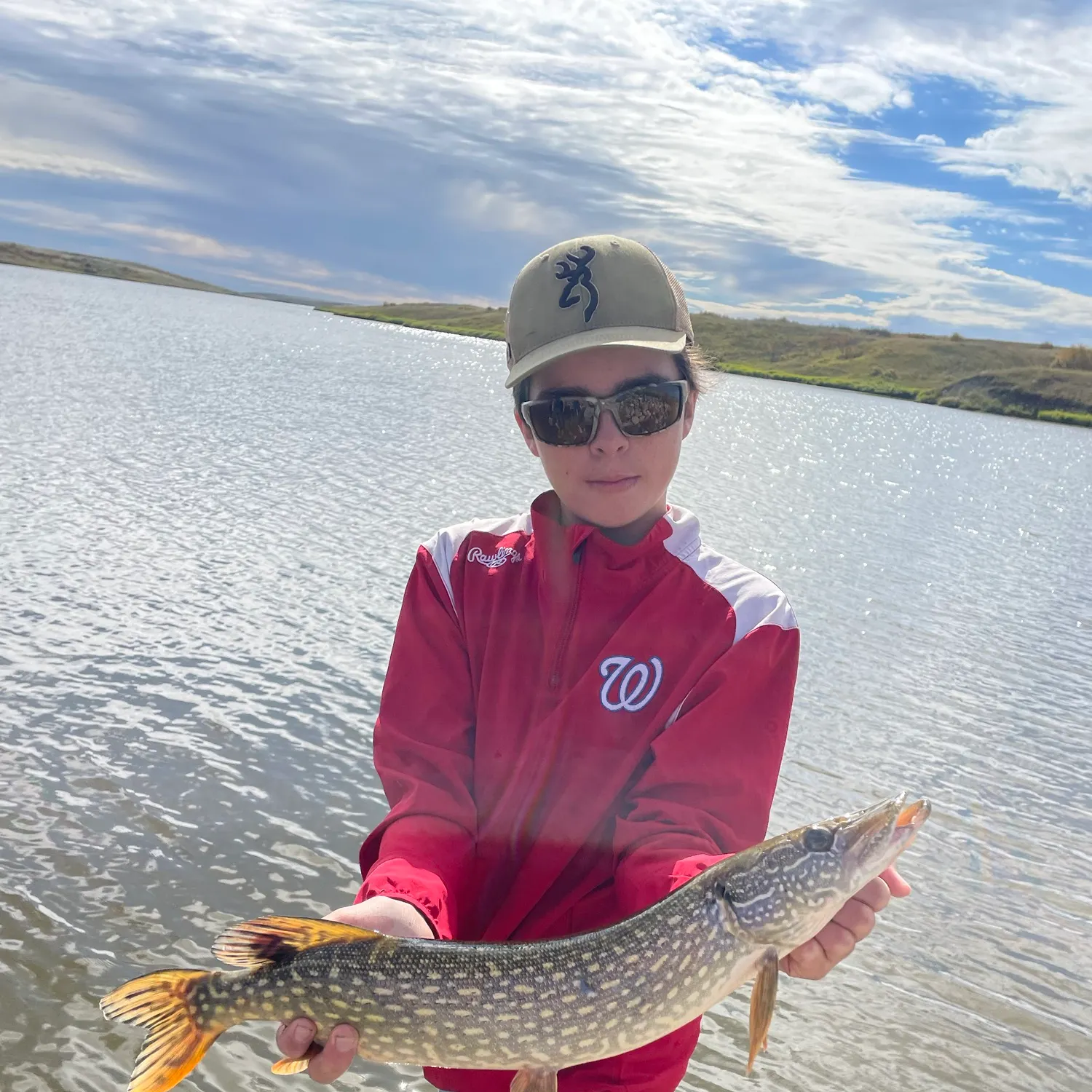 Northern pike caught on Fishbrain