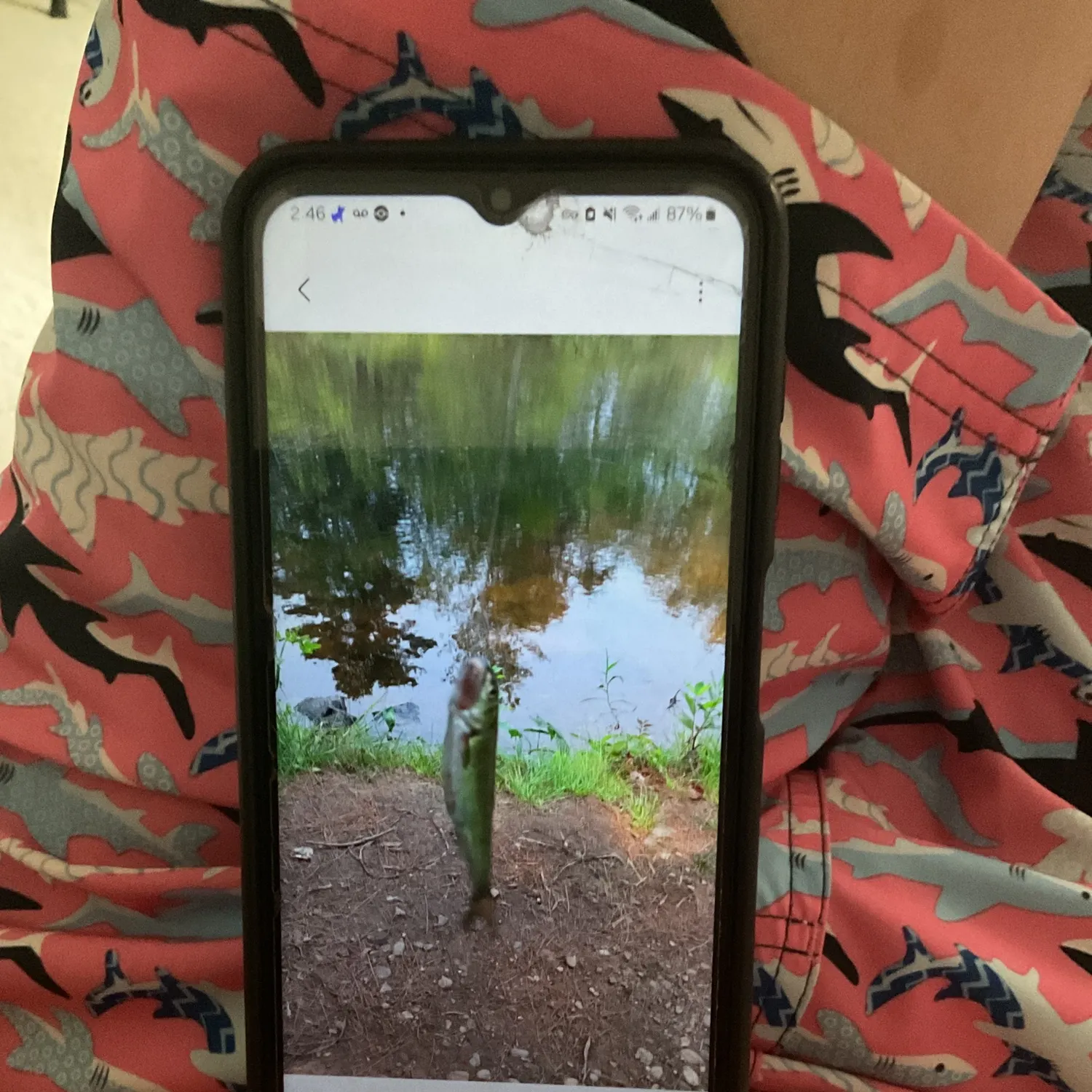 recently logged catches