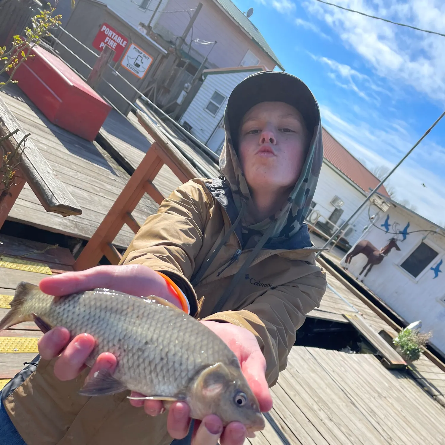 recently logged catches