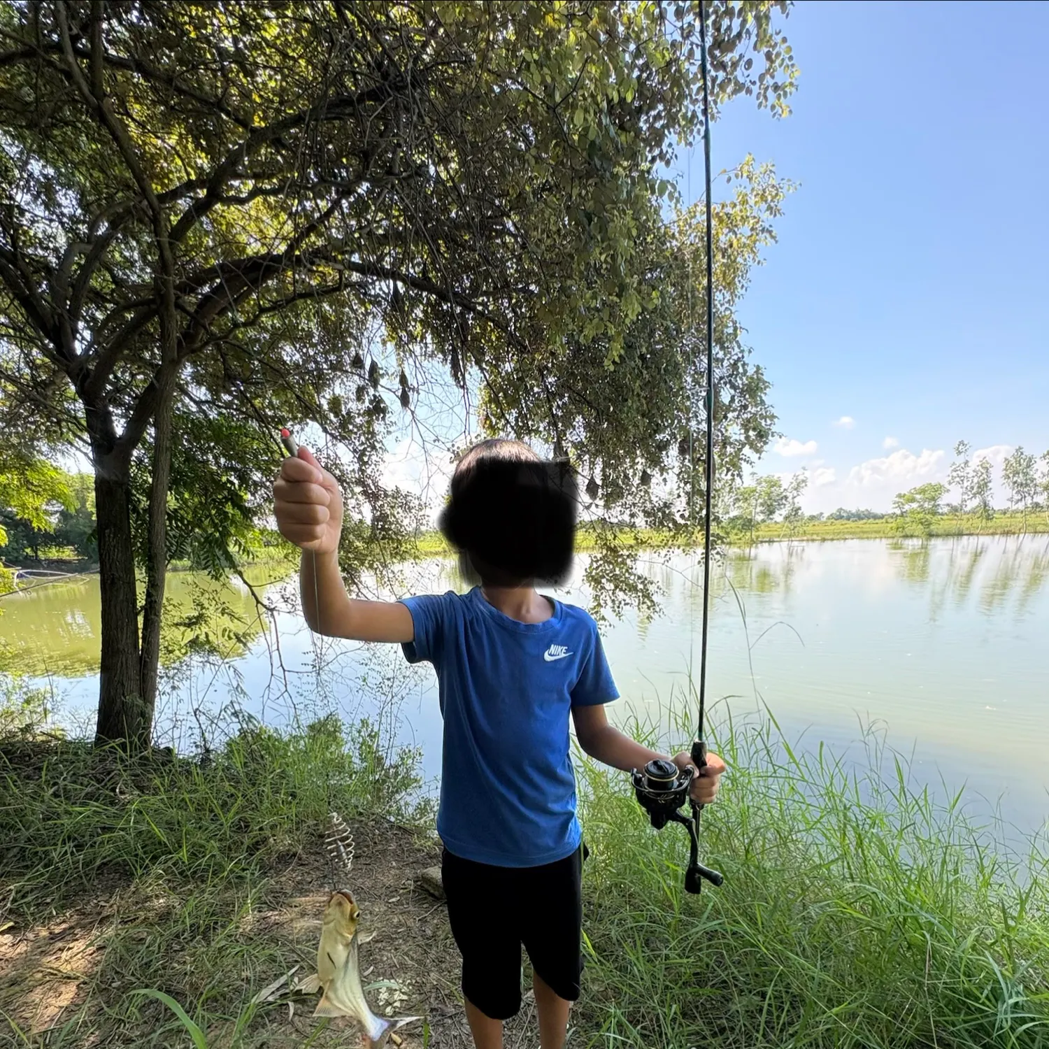 Redtail catfish caught on Fishbrain