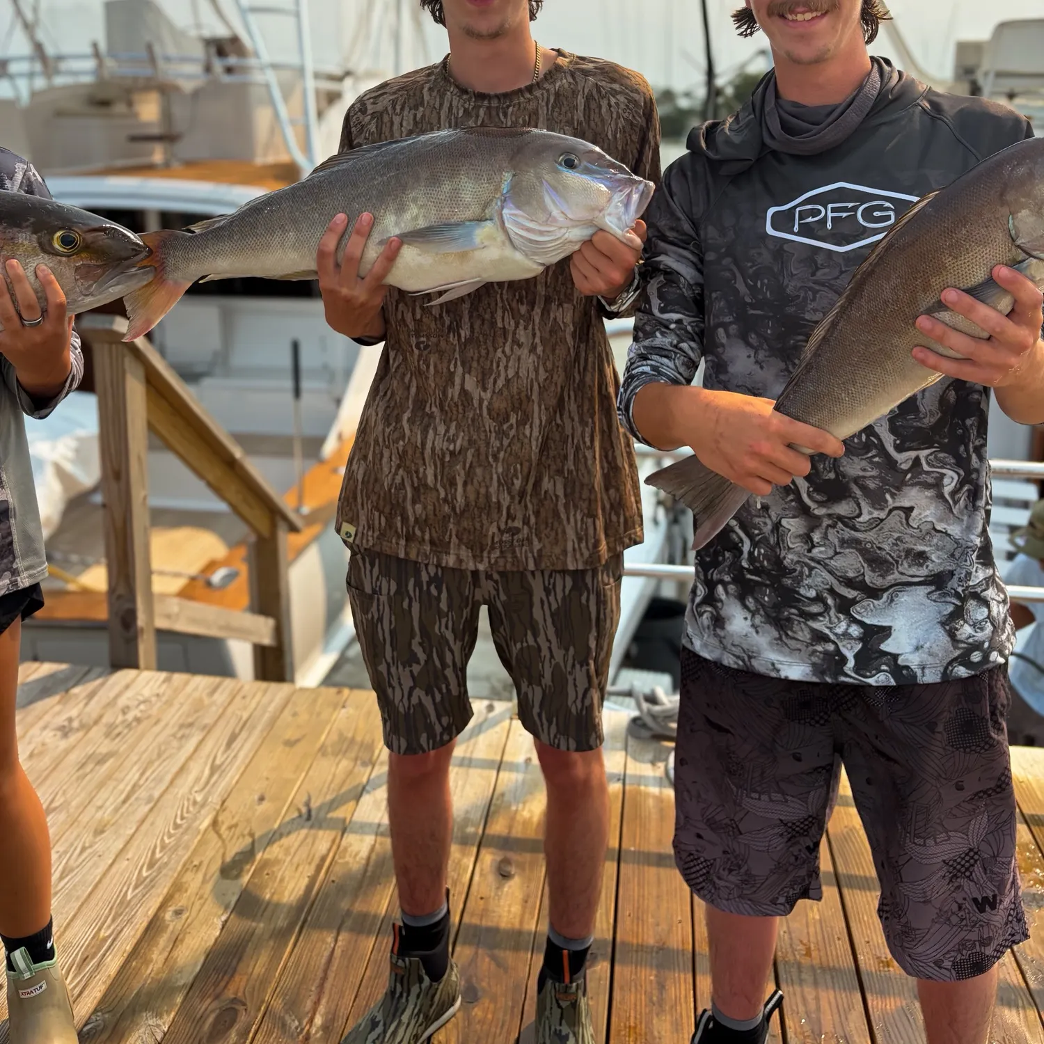 The most recent Grey tilefish catches on Fishbrain