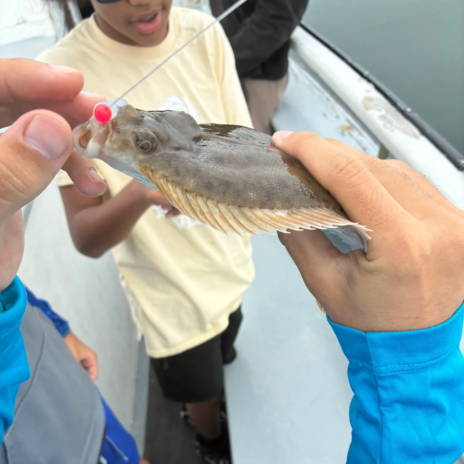 Fish caught on Fishbrain
