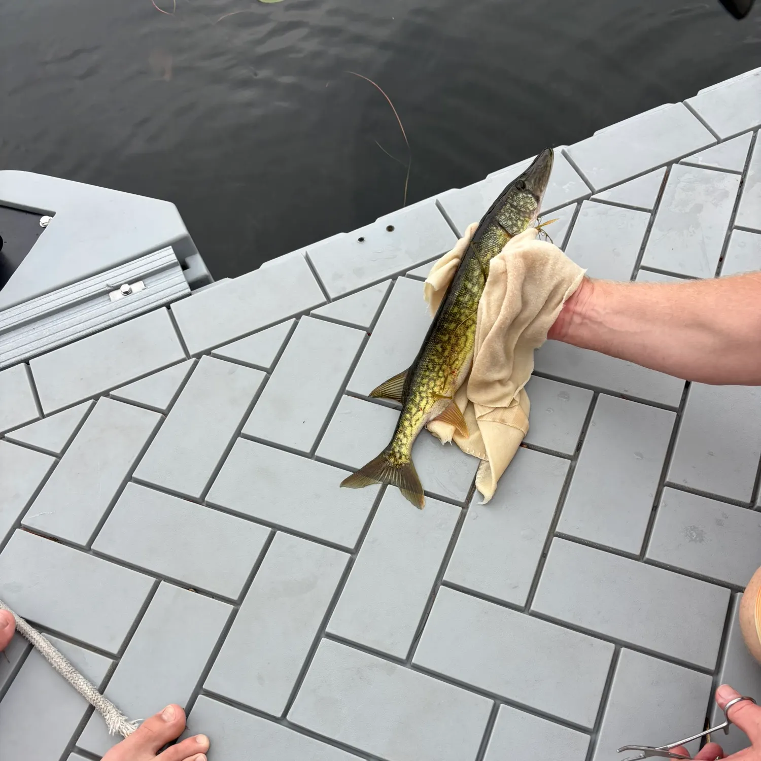 catch