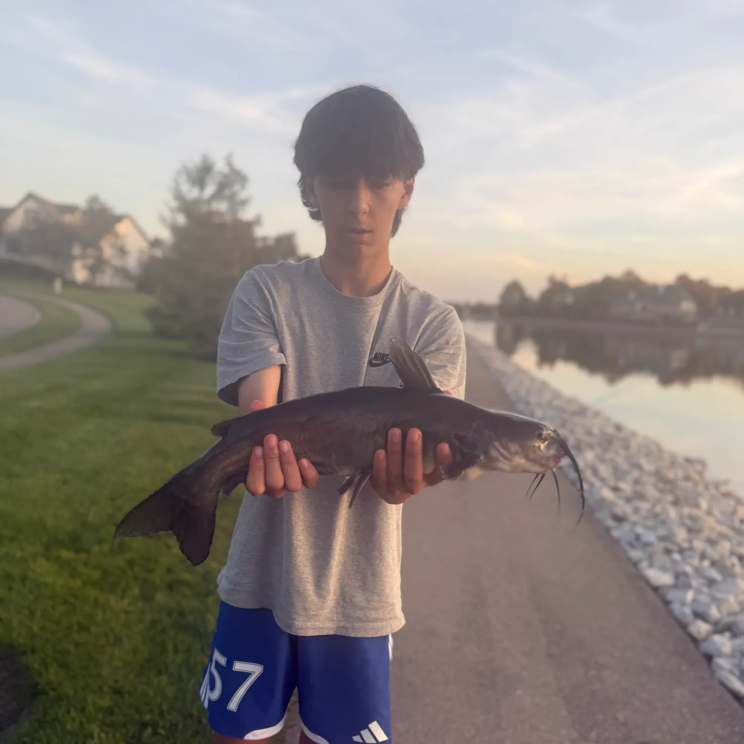 Channel catfish caught on Fishbrain