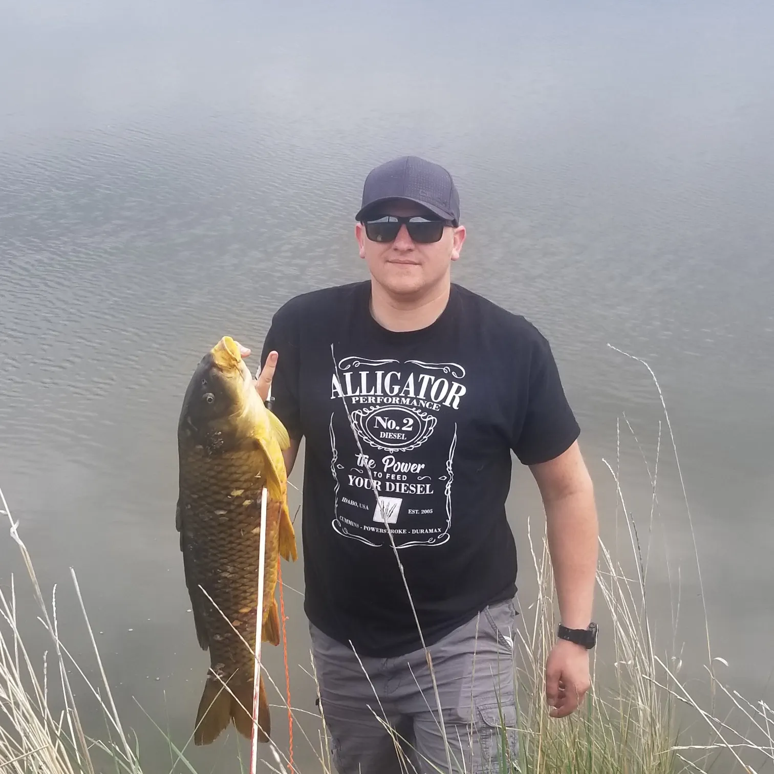 Common carp caught on Fishbrain