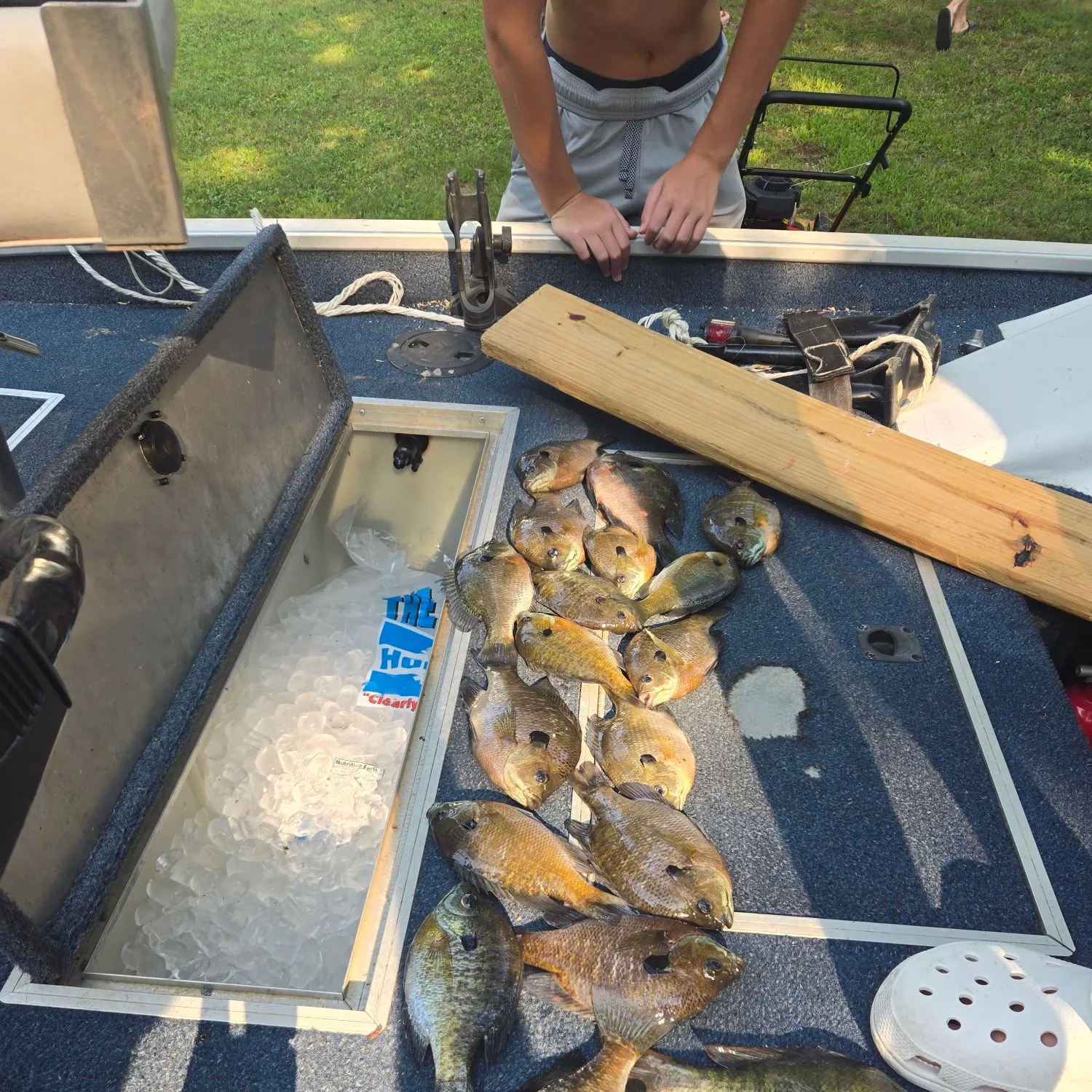 Redear sunfish caught on Fishbrain