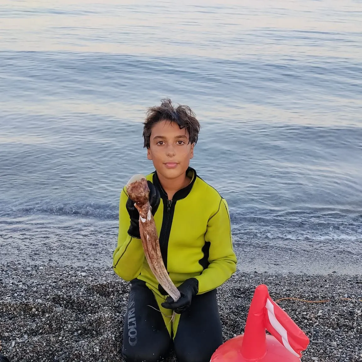 The most recent Common octopus catches on Fishbrain