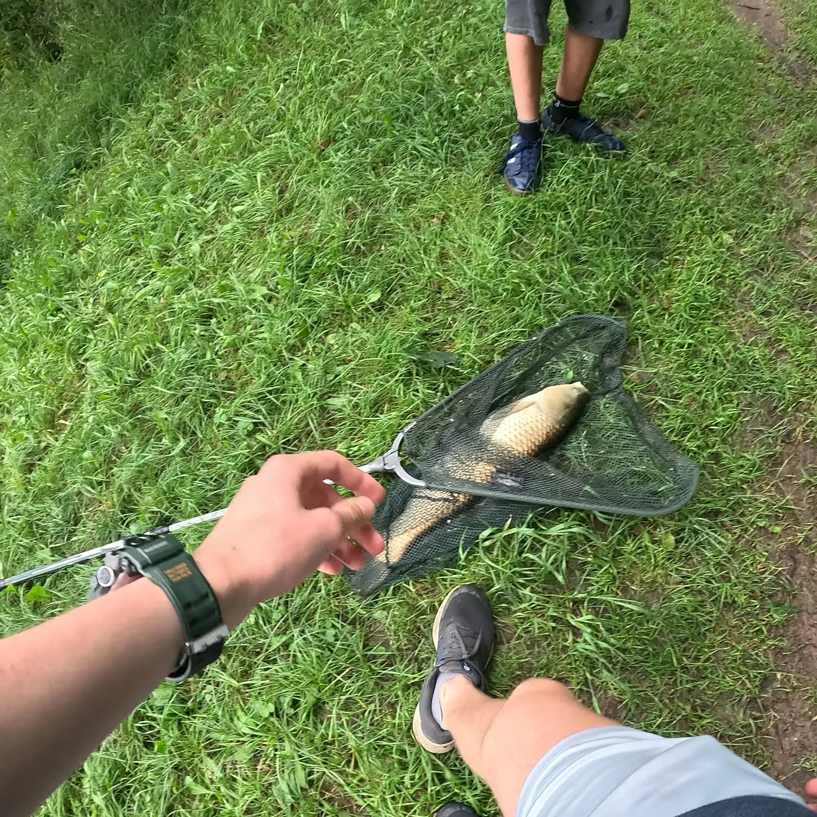 Grass carp caught on Fishbrain