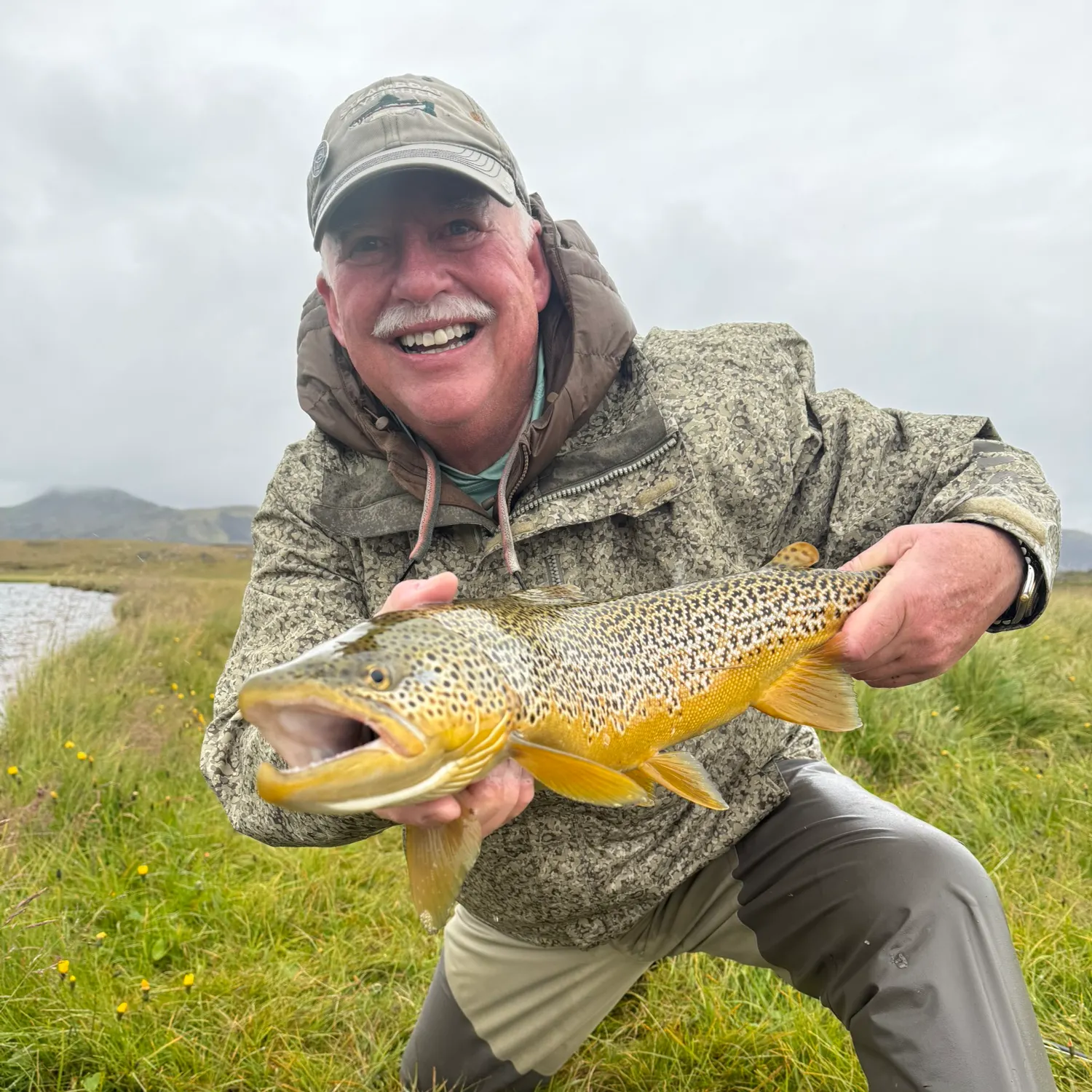 Brown trout caught on Fishbrain