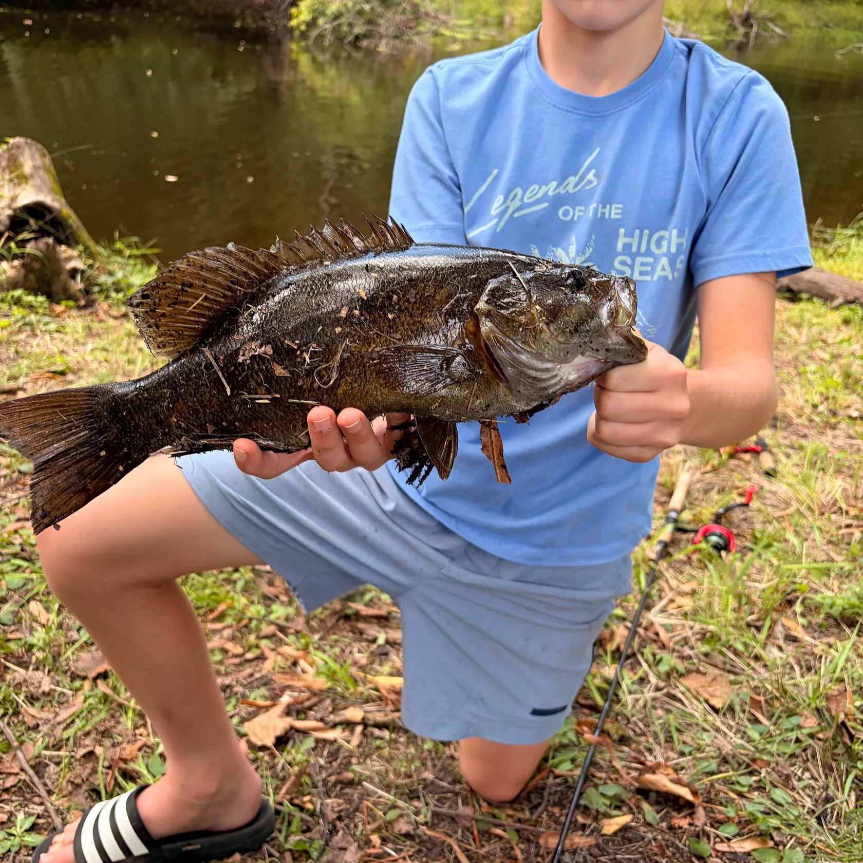 Smallmouth bass caught on Fishbrain
